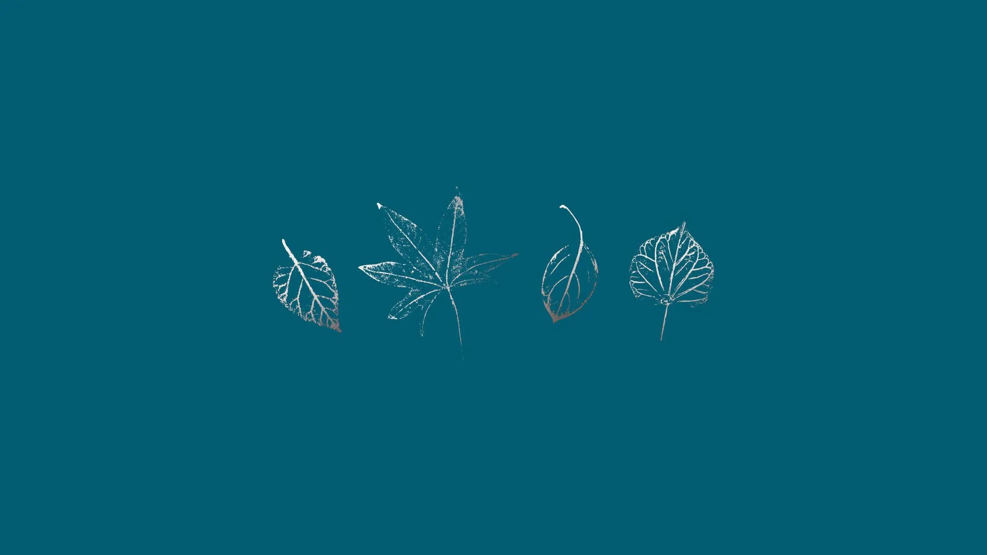 Download Leaves On Teal Wallpaper