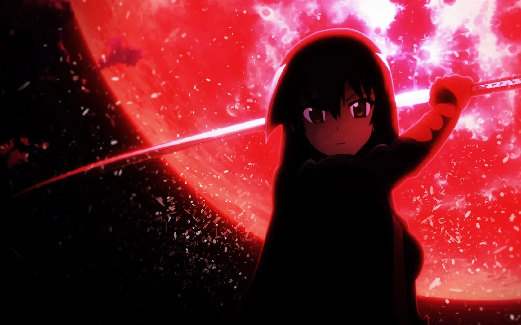 Akame Anime Girl Design Desktop Wallpaper