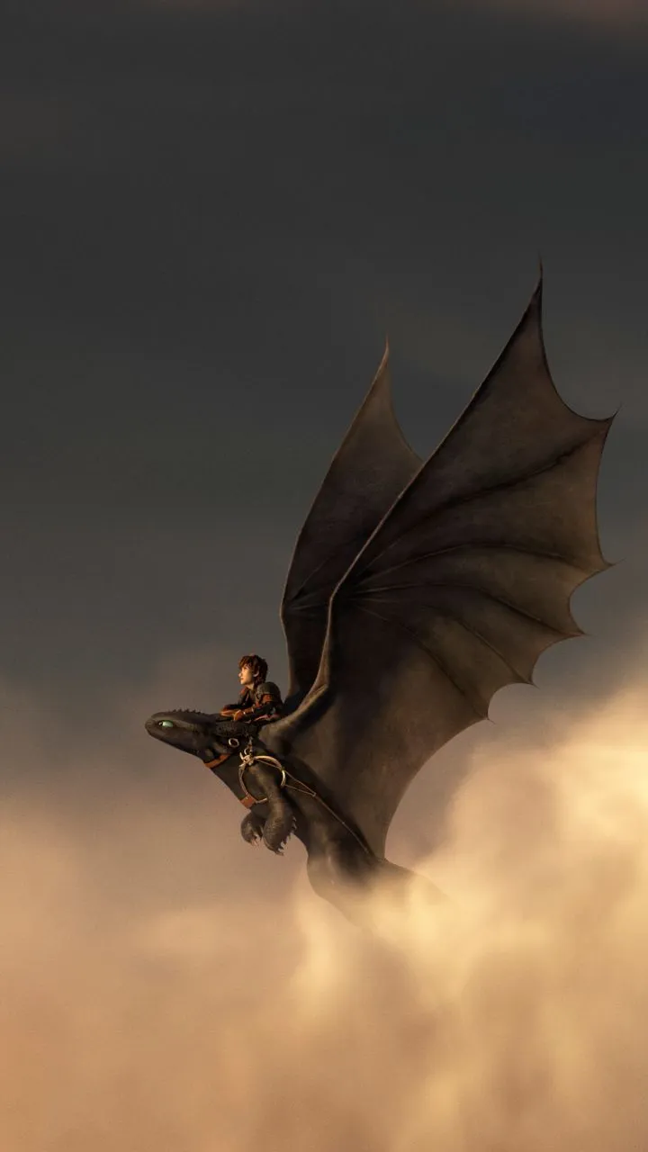 Phone wallpaper: How To Train Your Dragon, Toothless (How To Train Your Dragon), Hiccup (How To Train Your Dragon), How To Train Your Dragon 2, Movie 1139518
