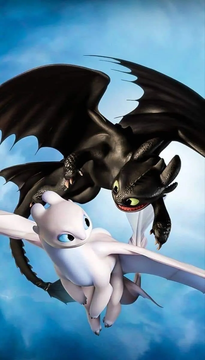 Toothless and light fury♡⃛
