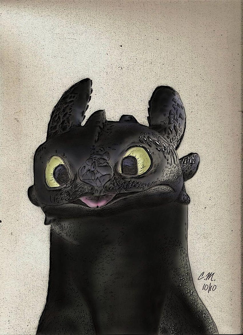 Night Fury Group, toothless phone HD phone wallpaper