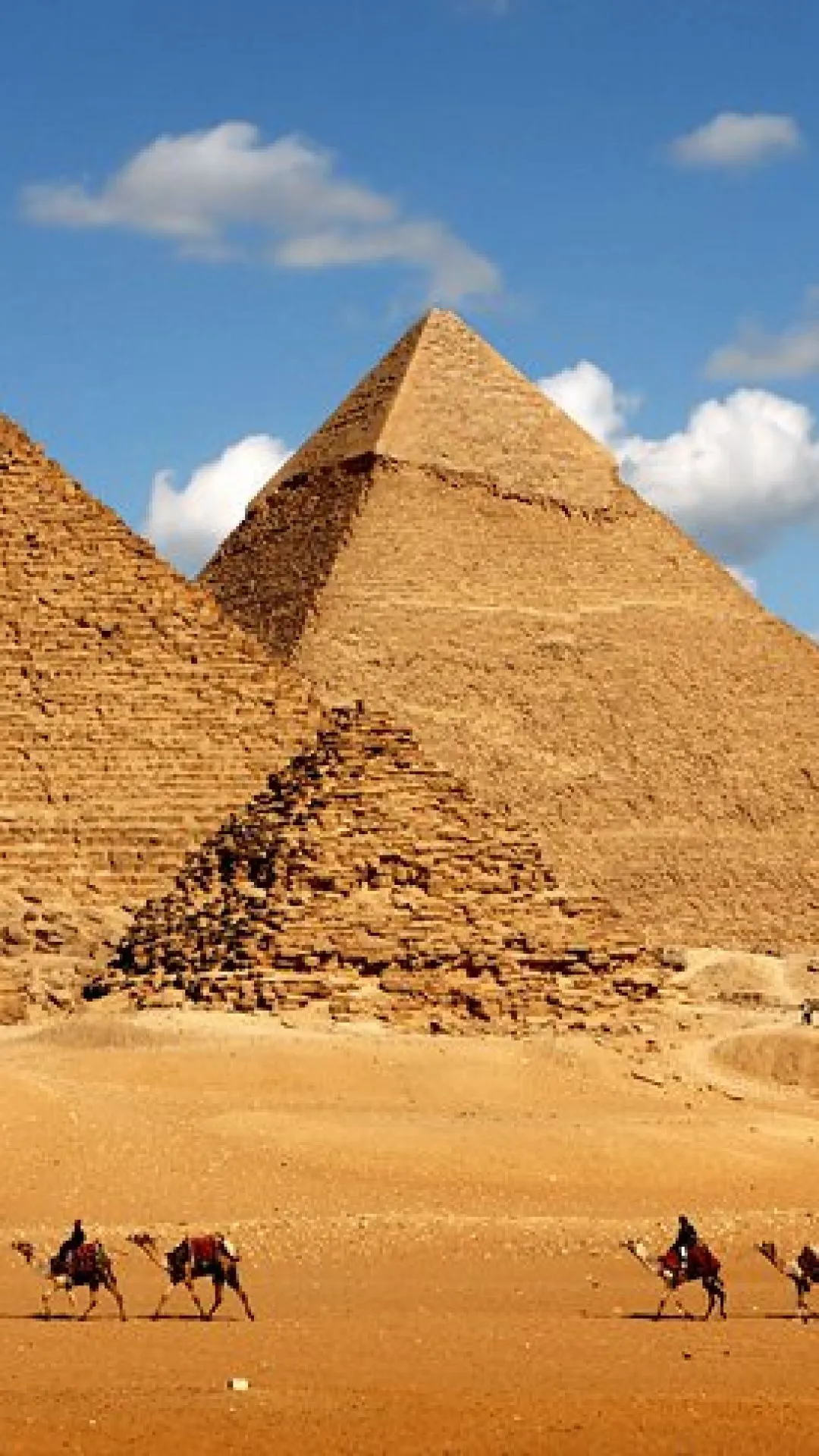 Egypt Cairo Pyramids Of Giza And Camels Wallpaper