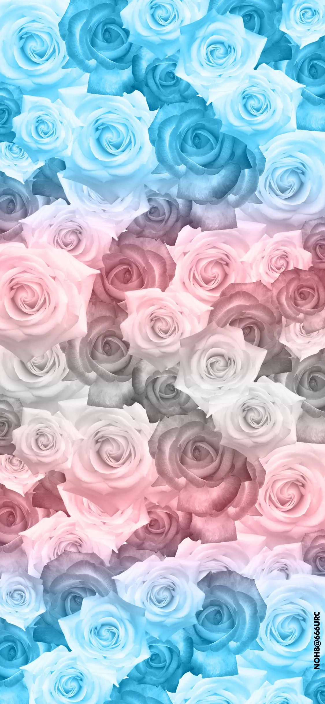 mobile phone wallpaper and lock screen wallpaper!