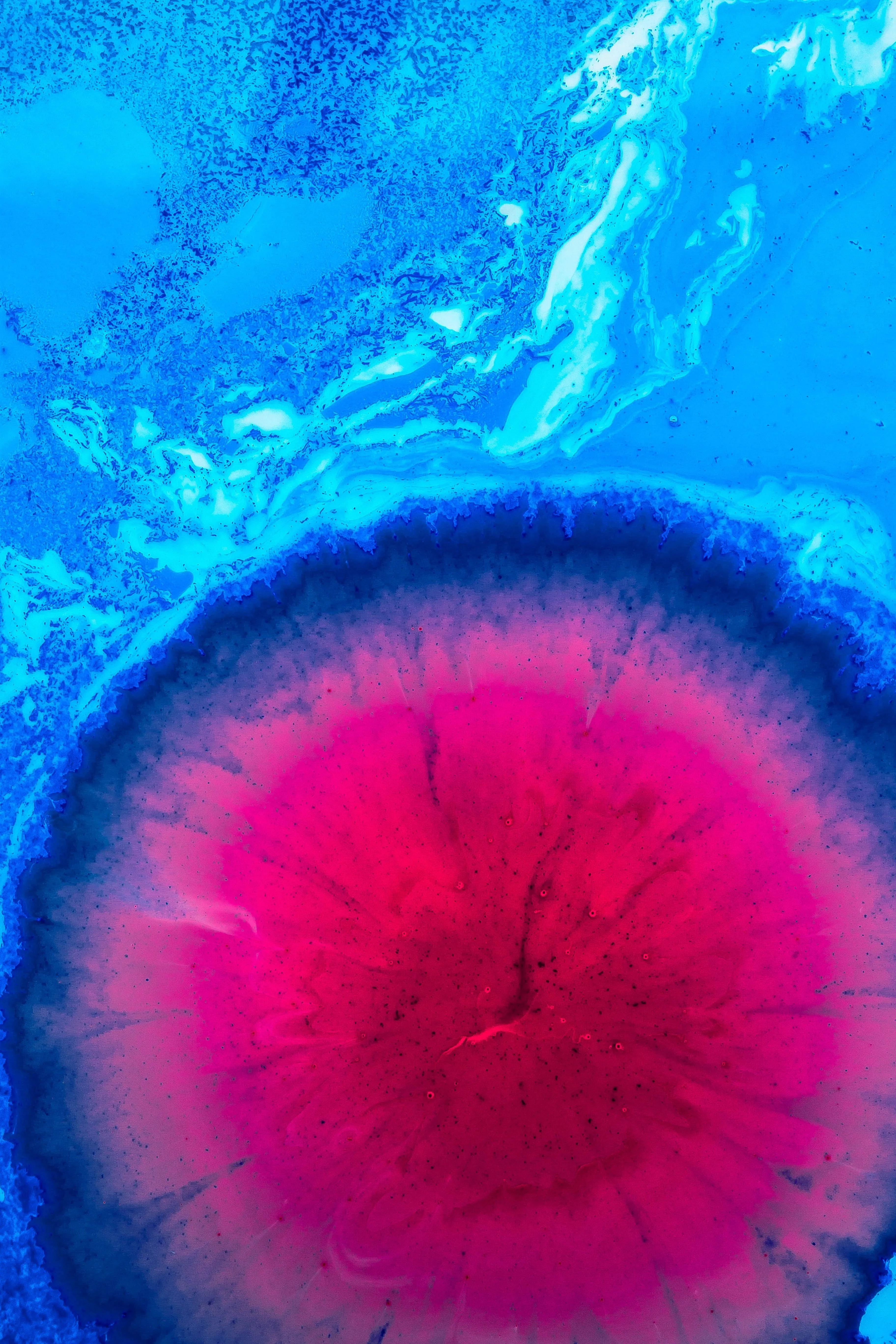 Phone wallpaper: Liquid, Pink, Abstract, Paint, Stains, Spots 77800