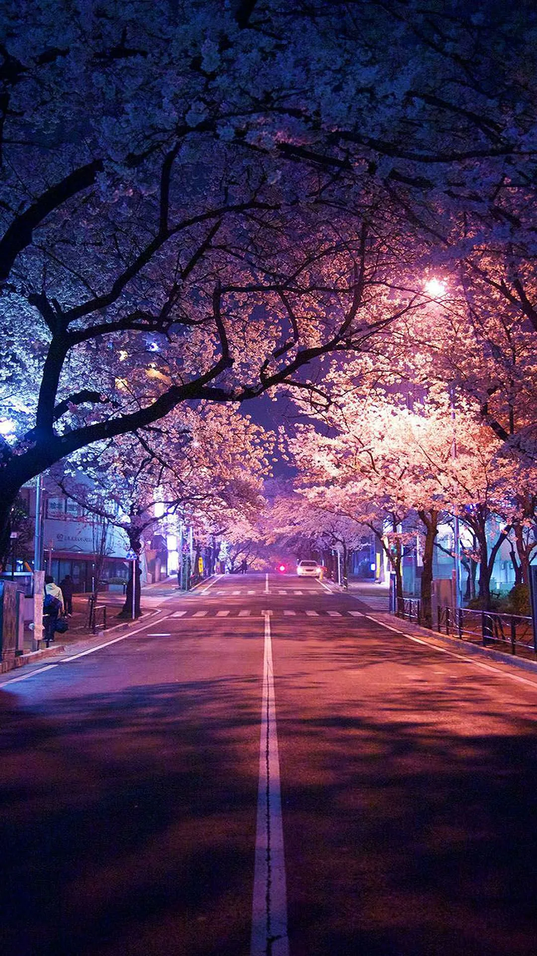 Japan Tokyo Travel Mobile Phone Wallpaper