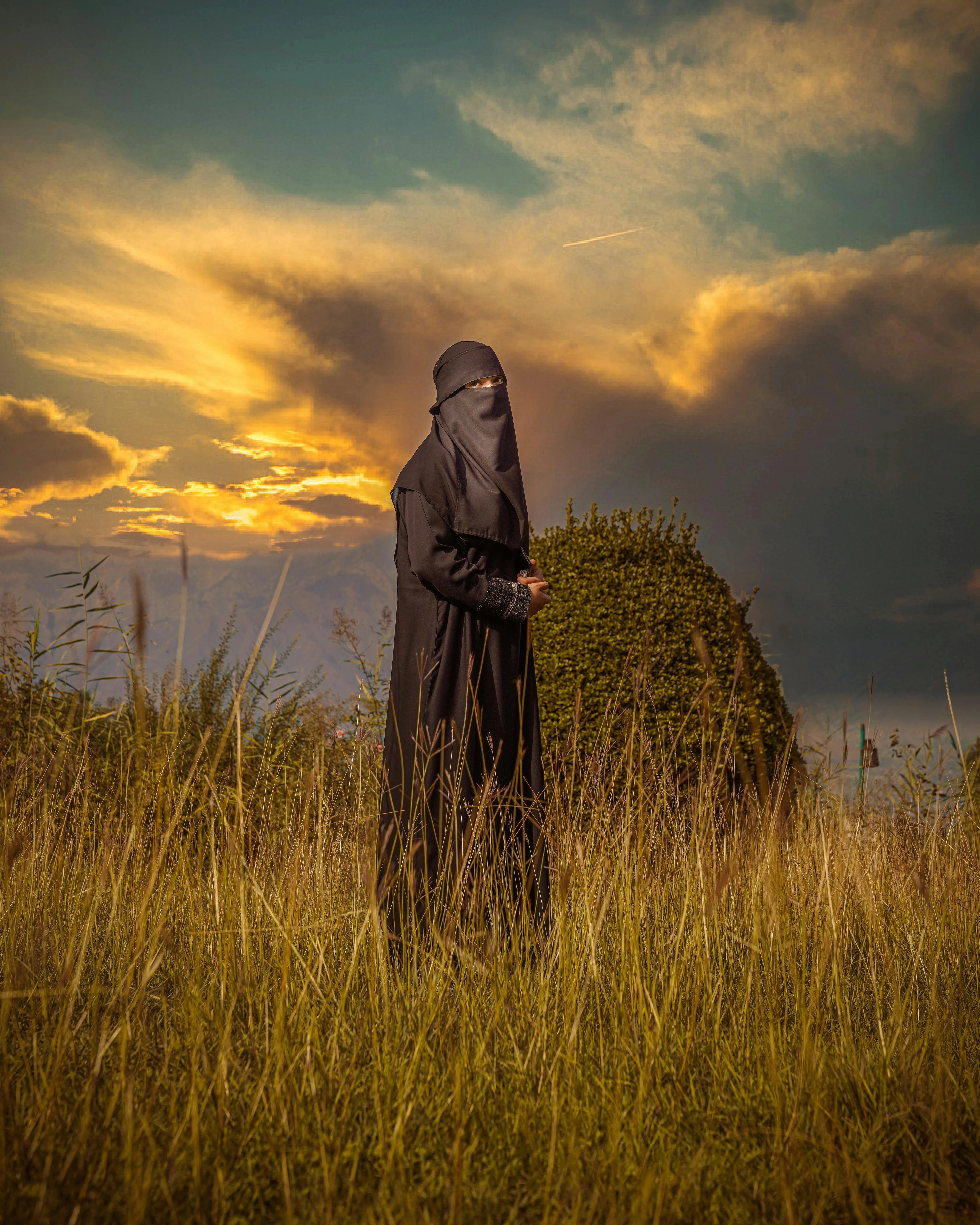 A Woman Wearing a Niqab · Free