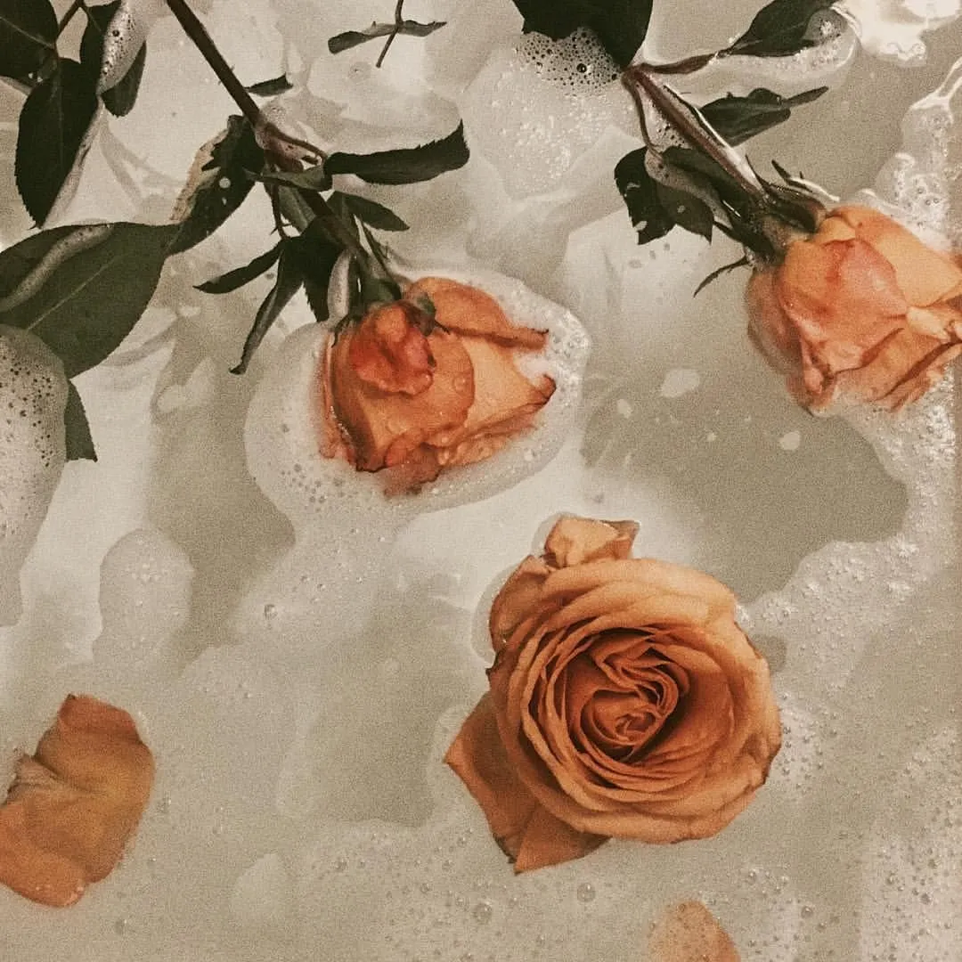 Amber Flower Wallpaper, HD Background on WallpaperBat