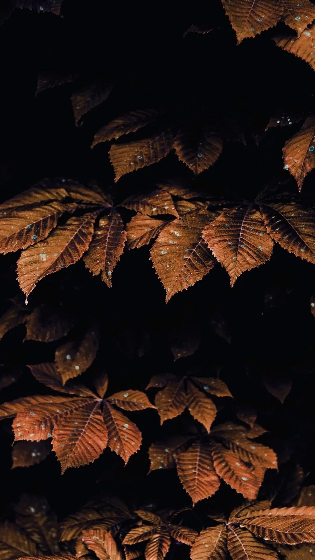 Best Brown Aesthetic iphone Wallpaper [ HQ ]