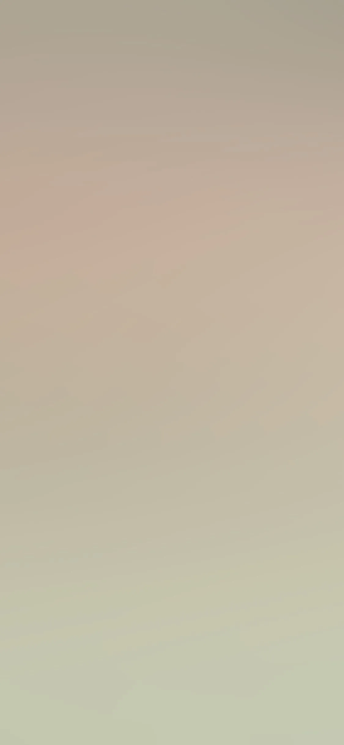 iPhone X wallpaper. moody light bright happy brown gradation blur