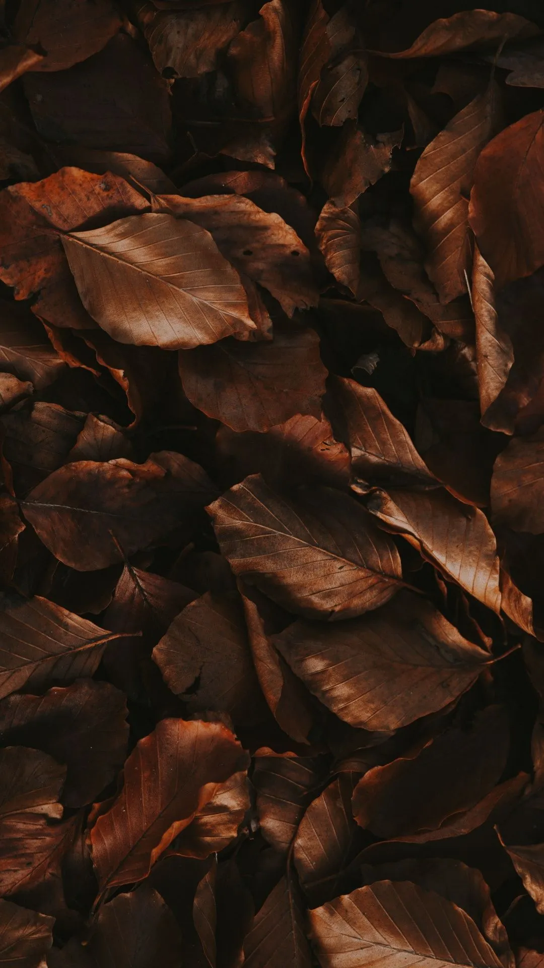 Best Brown Aesthetic iphone Wallpaper [ HQ ]