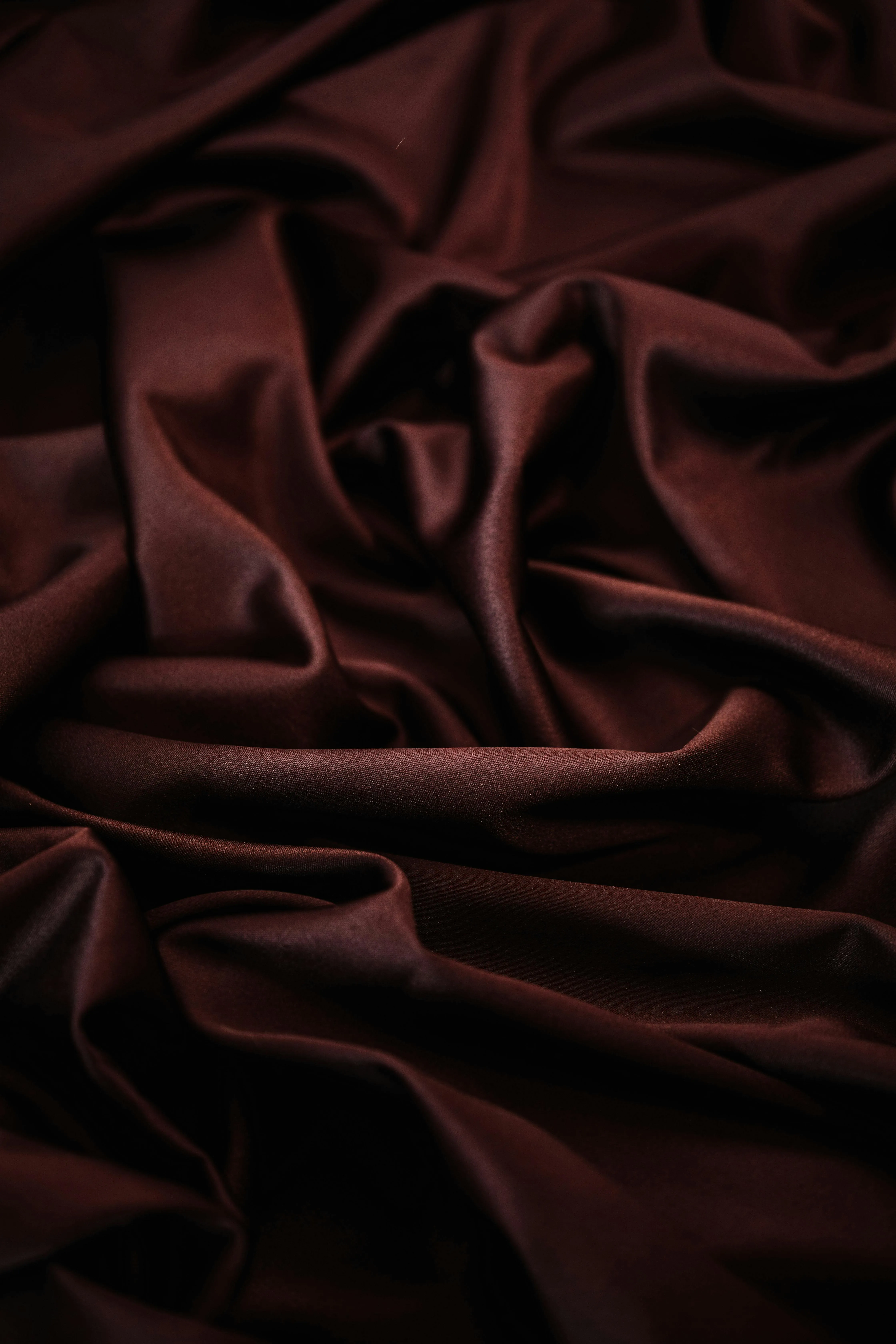 Brown Photo, Download The BEST Free Brown & HD Image