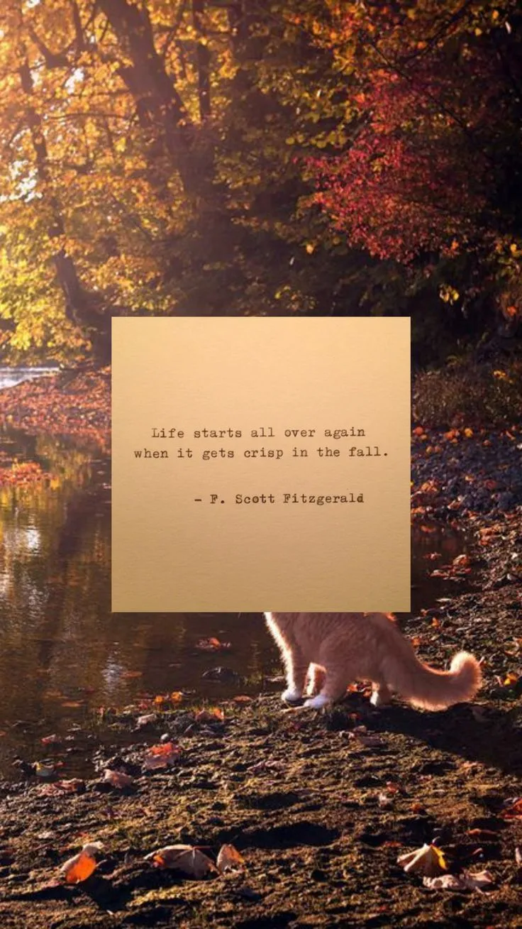Crisp in the fall. iOS Wallpaper