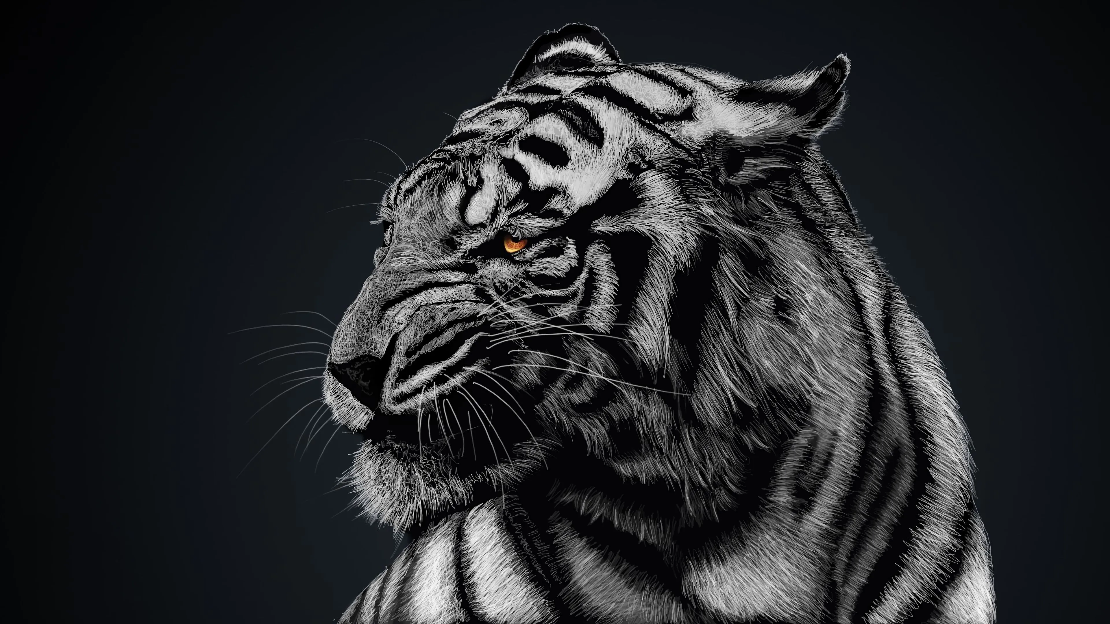 White Tiger 4K Wallpaper HD