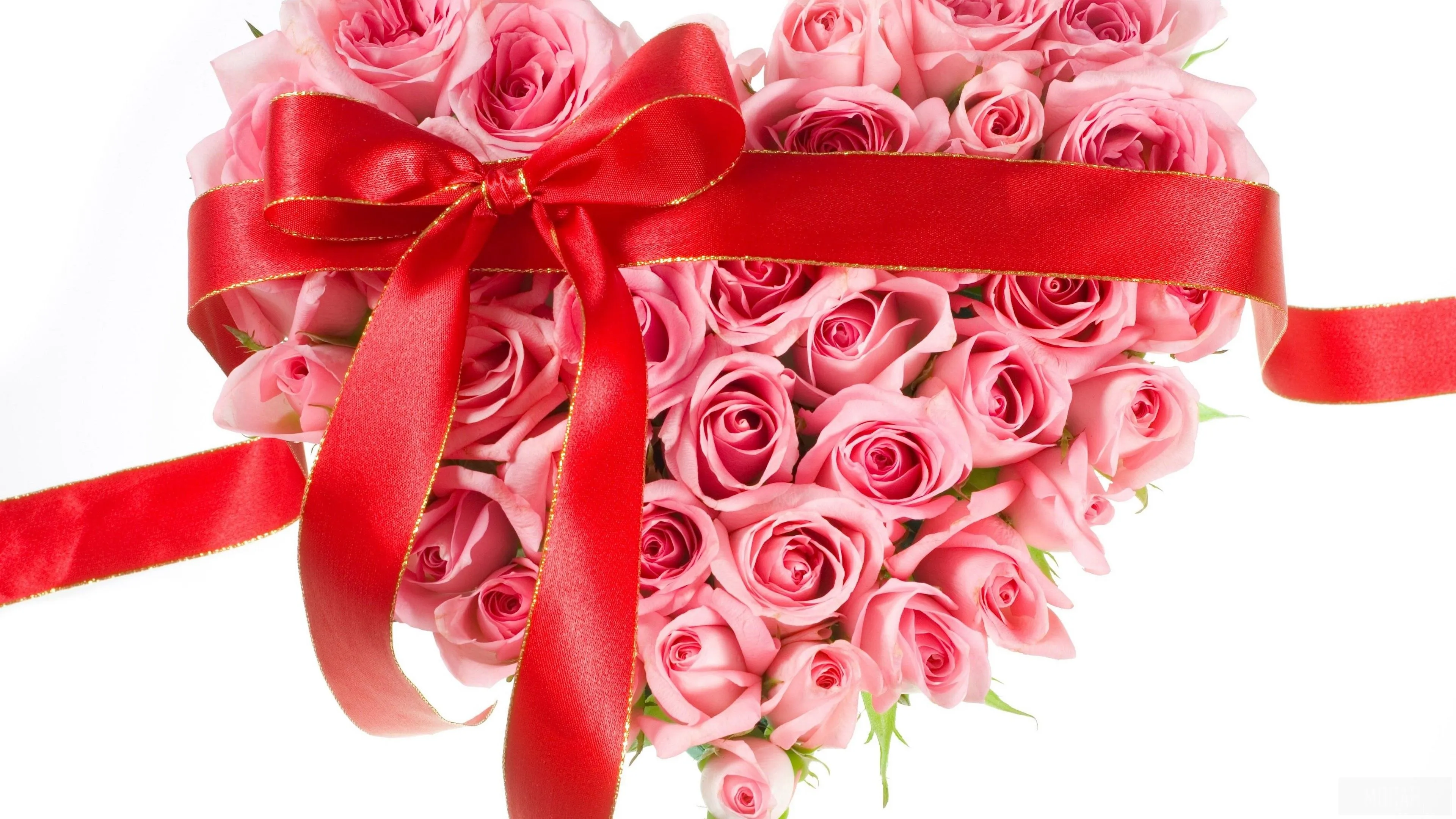 Roses, Flowers, Hearts, Ribbons, Bows 4K, HD Wallpaper