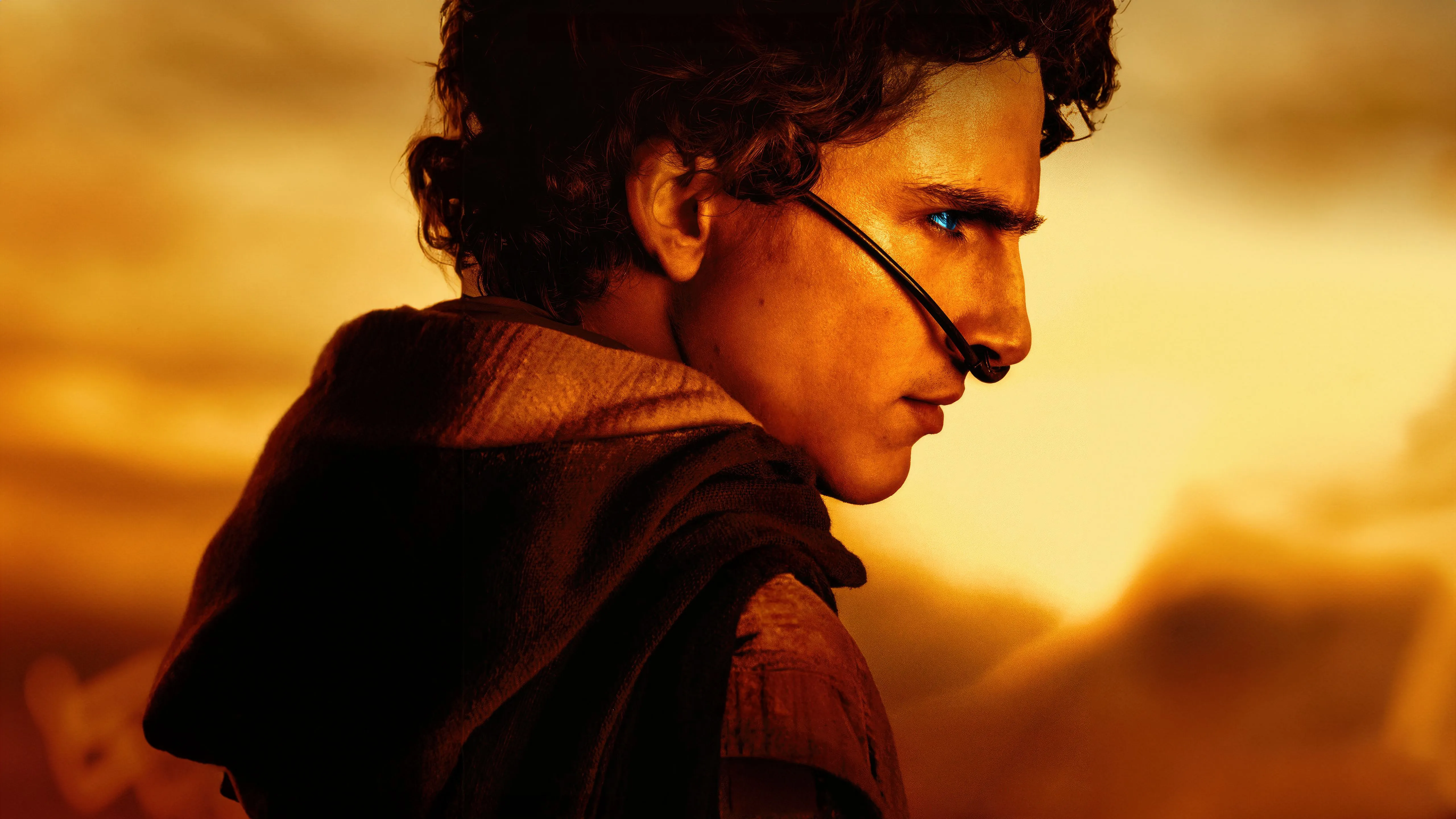 Timothee Chalamet As Paul Atreides In Dune 2 Wallpaper, HD Movies Wallpaper, 4k Wallpaper, Image, Background, Photos and Picture