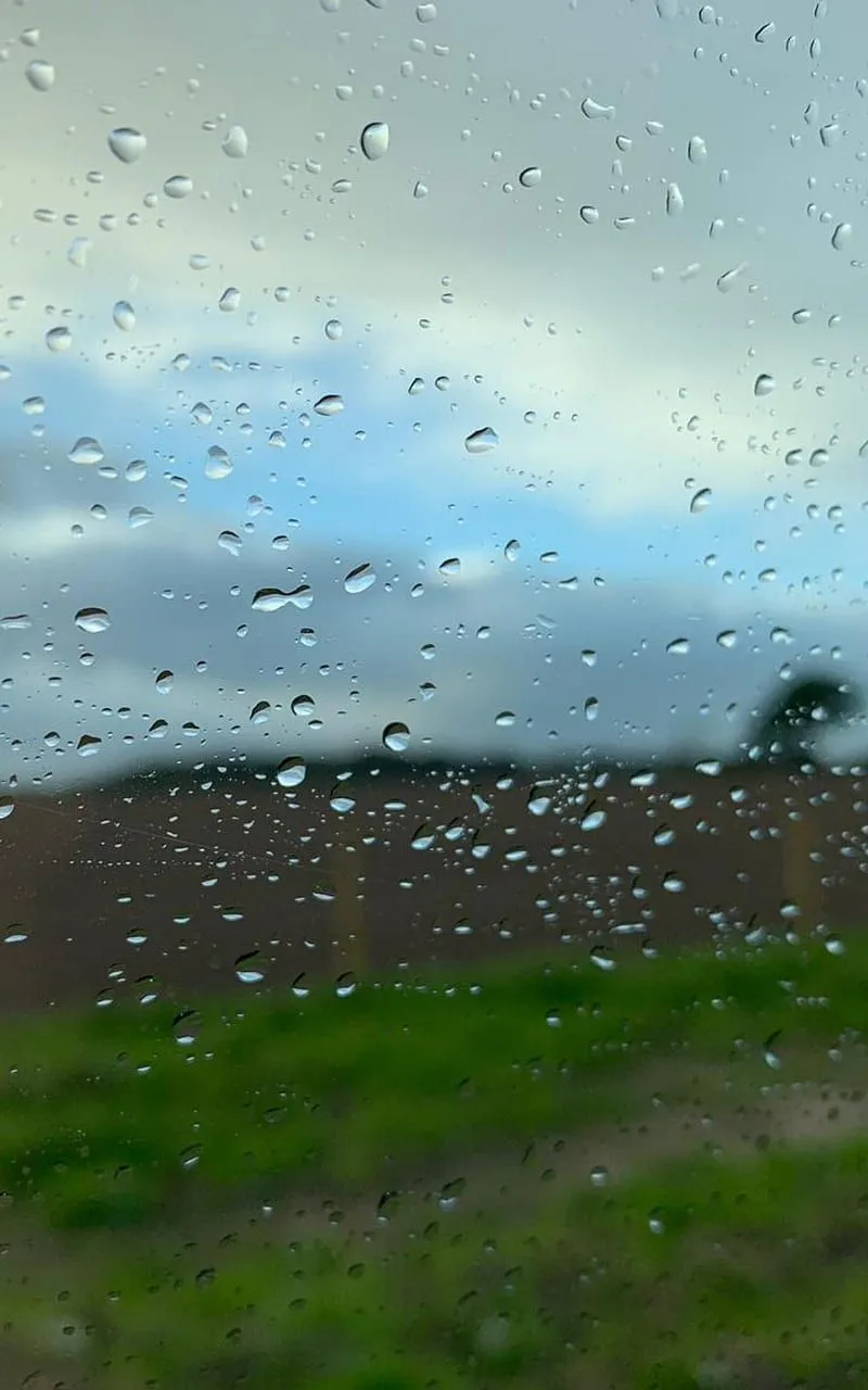 Rain, weather, water, rainy, HD phone wallpaper