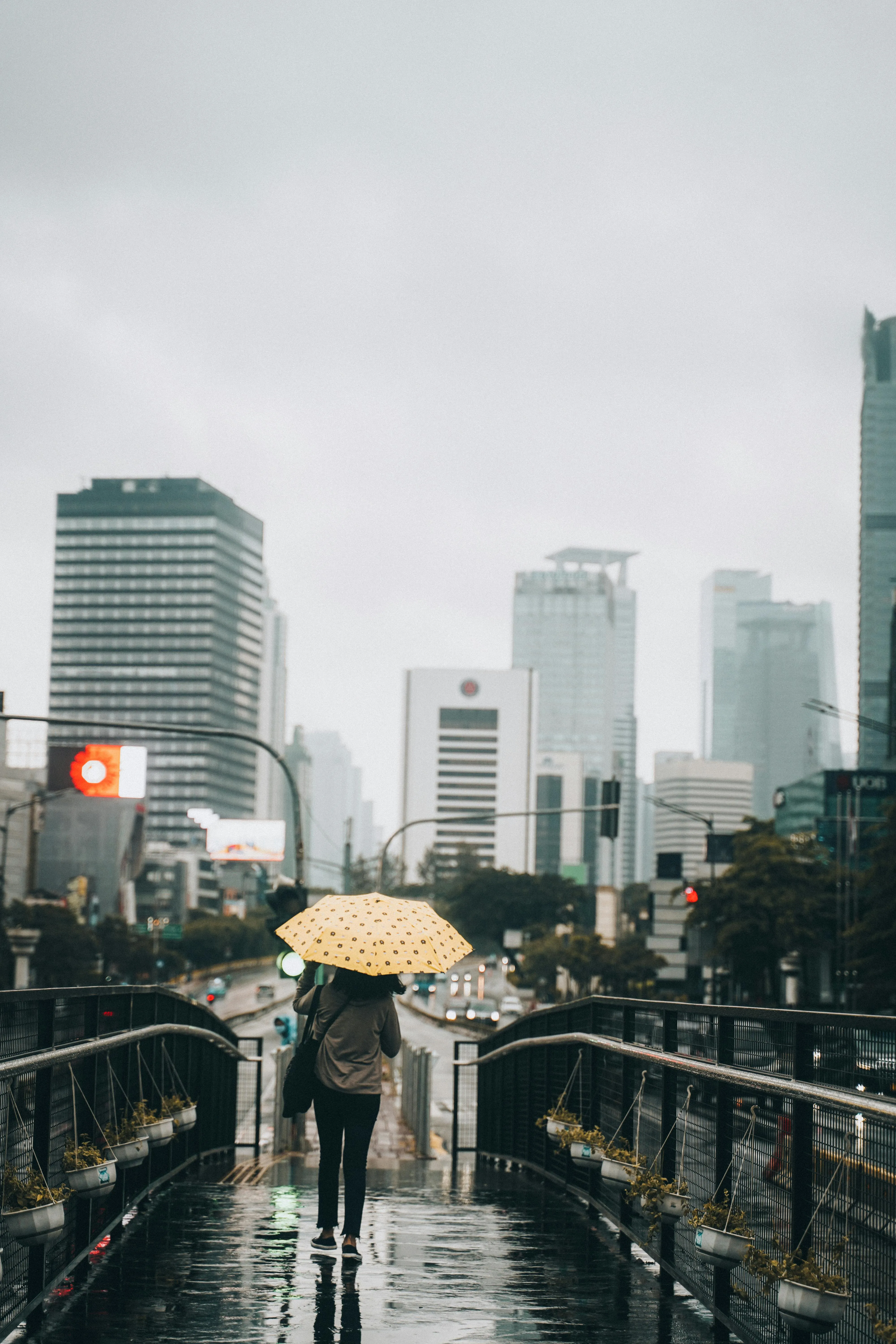 Downtown in Rain · Free