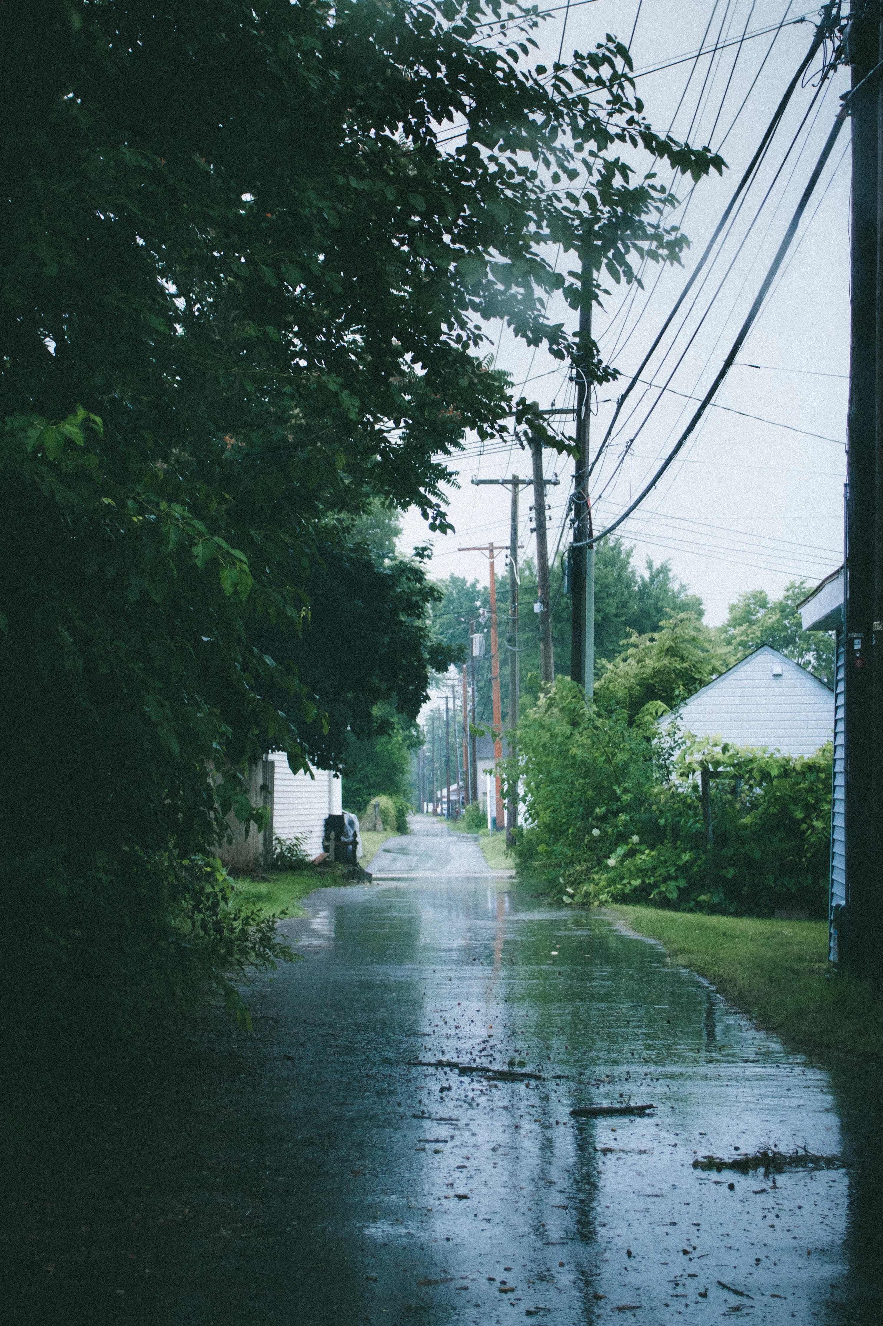 Rainy Day Picture [4K]. Download Free Image