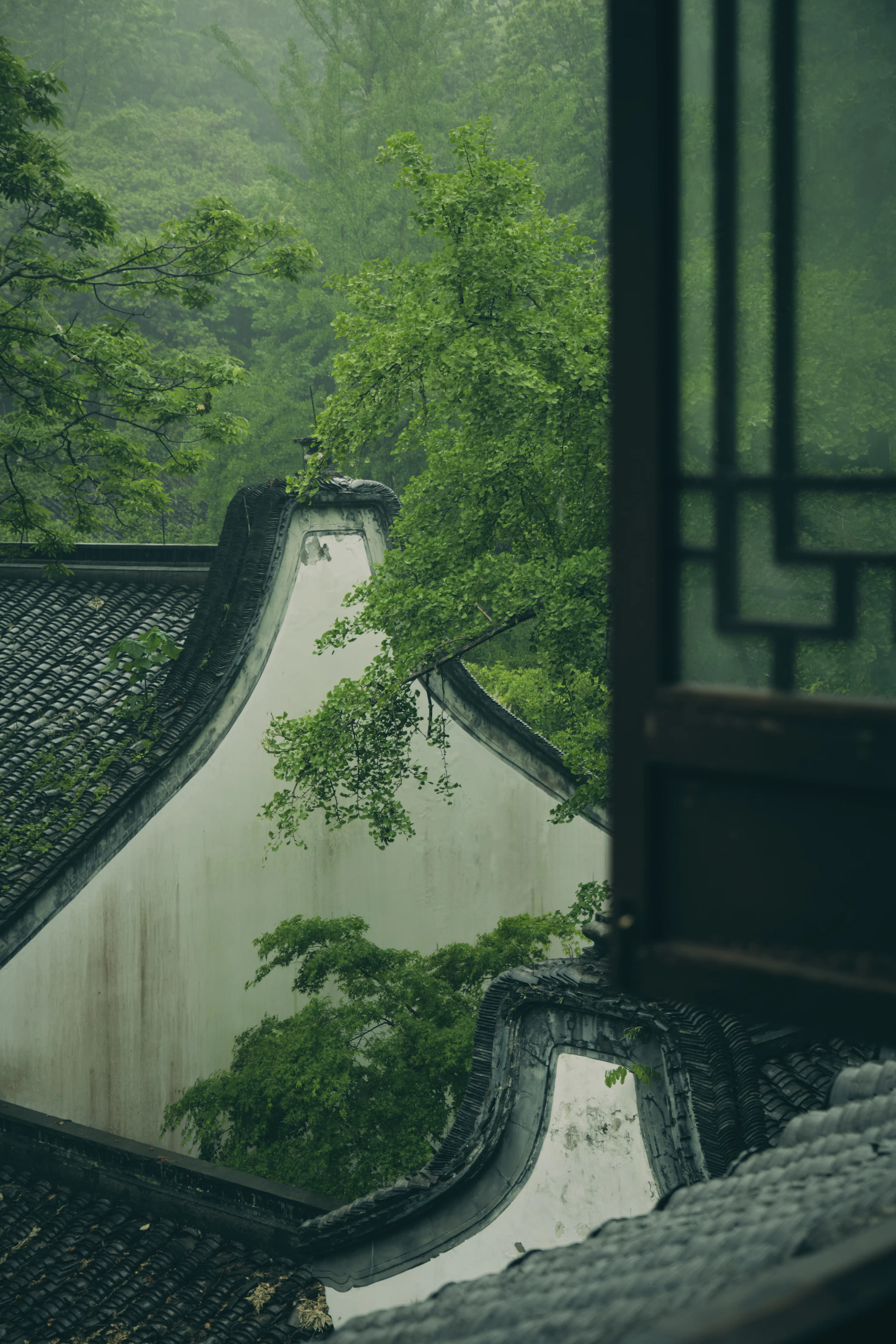 Rainy day view of a traditional asian building. photo