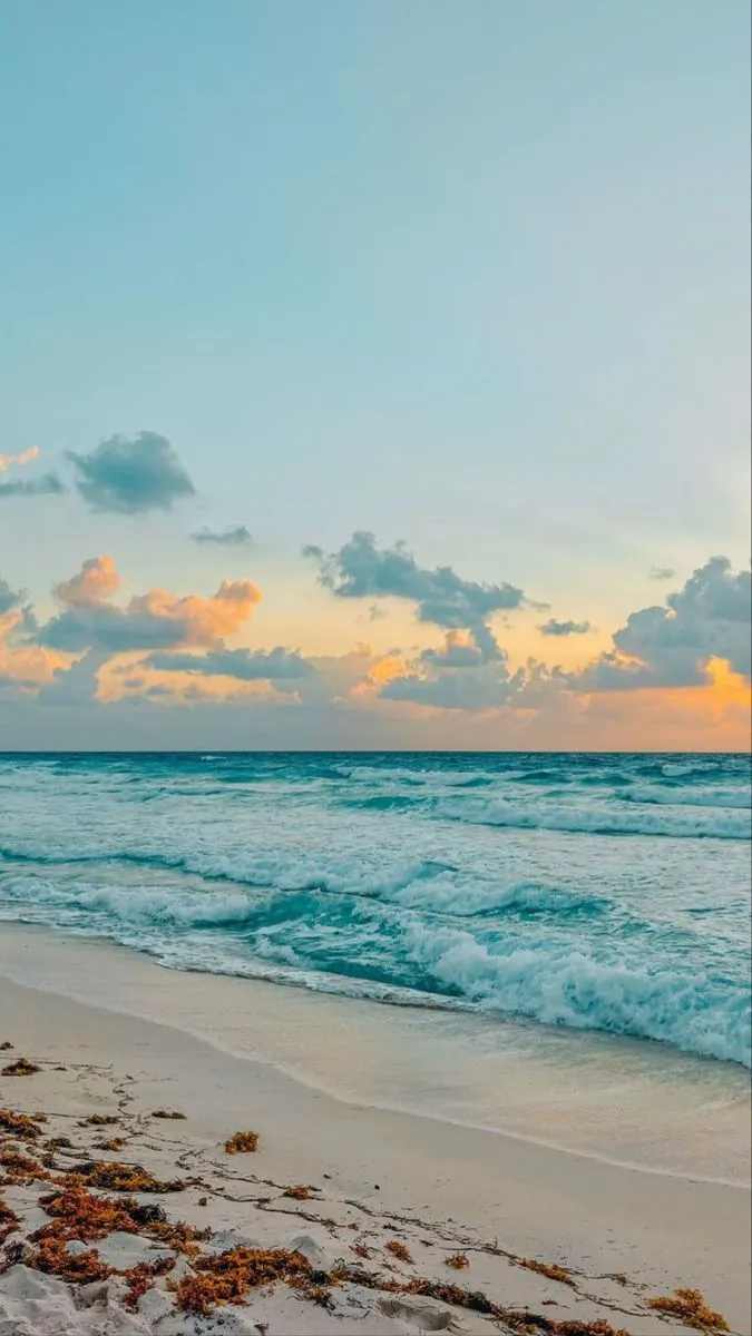 Ocean phone wallpaper