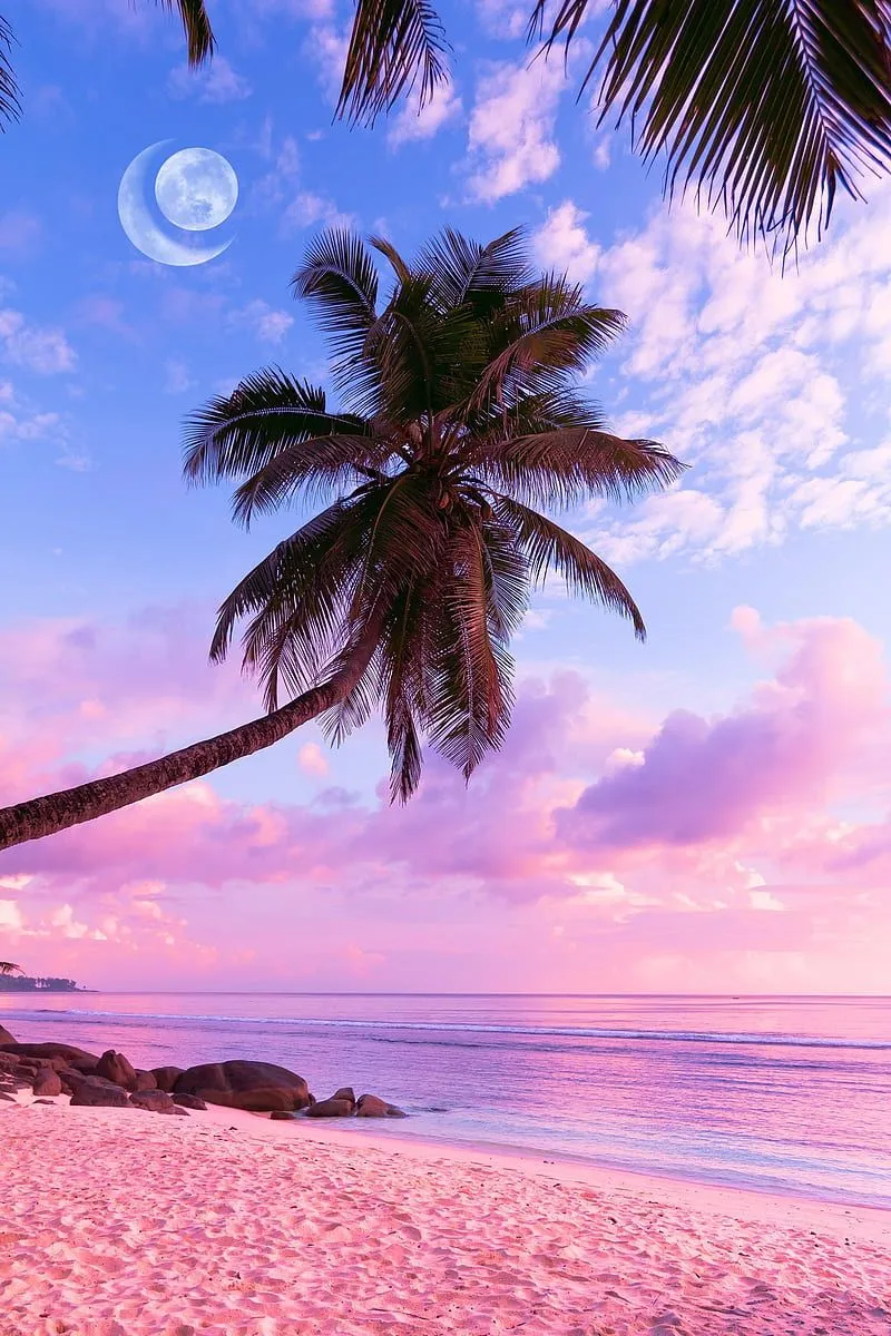 Aesthetic beach, beach, palms, tropical, HD phone wallpaper