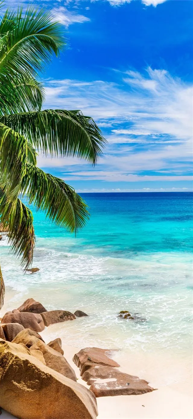 Beach in Seychelles Earth Beach Blue Horizon Ocean. iPhone 11 Wallpaper Free Download