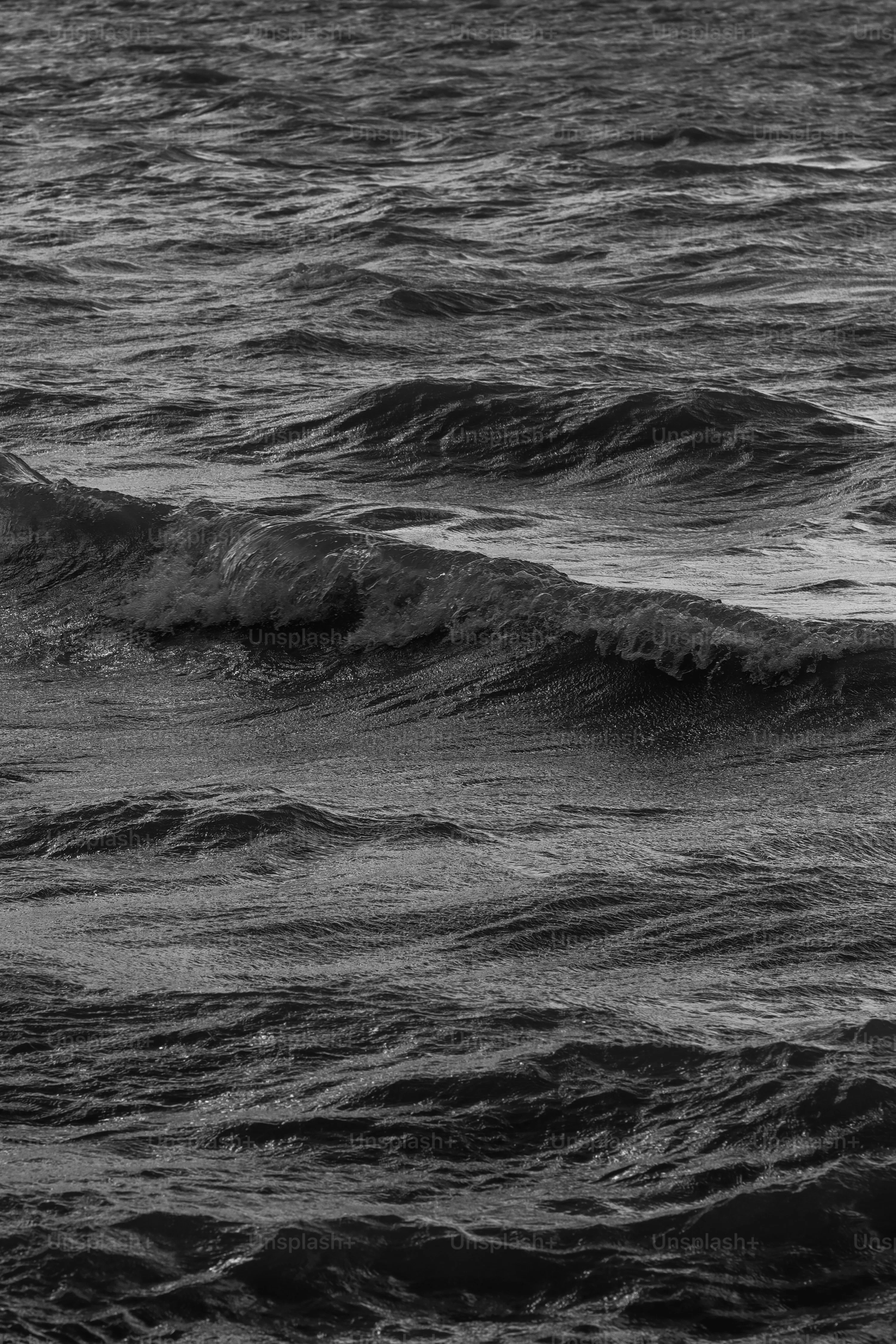 Black Wave Picture. Download Free Image
