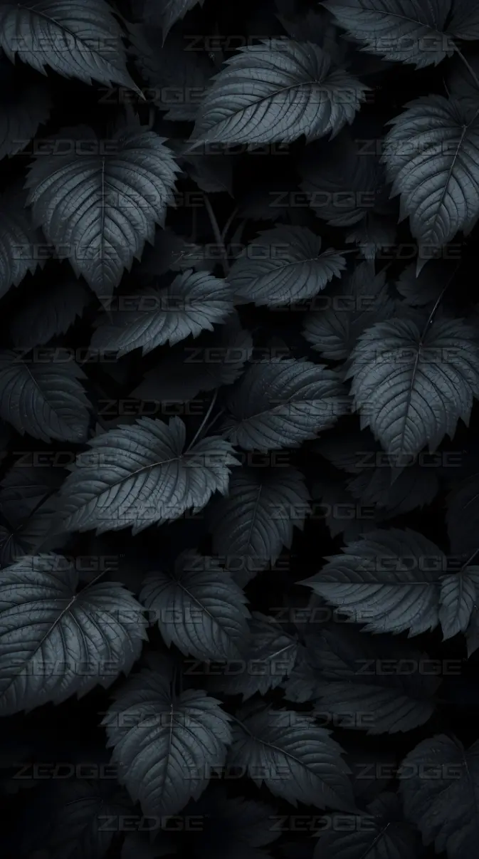 Dark Aesthetic Leaves Wallpaper Phone Background wallpaper