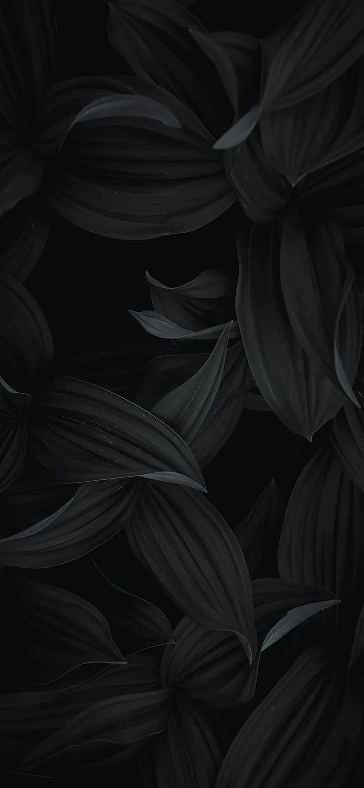 Minimal Dark Wallpaper, HD Background on WallpaperBat
