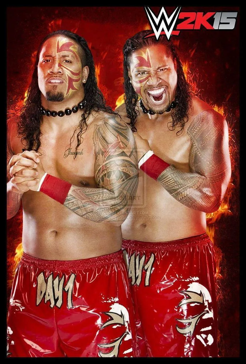 best Jimmy & jey uso wwe, the usos HD phone wallpaper