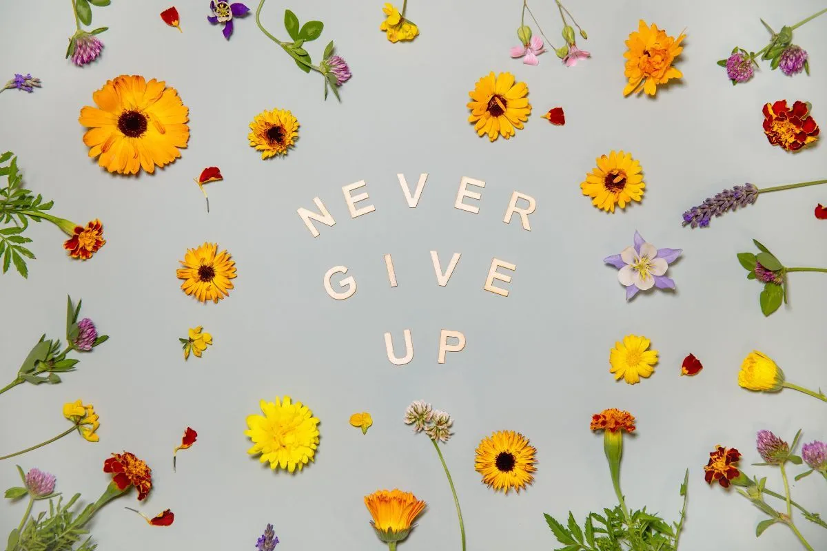 Never Give Up, Motivational Wallpaper for Wall®