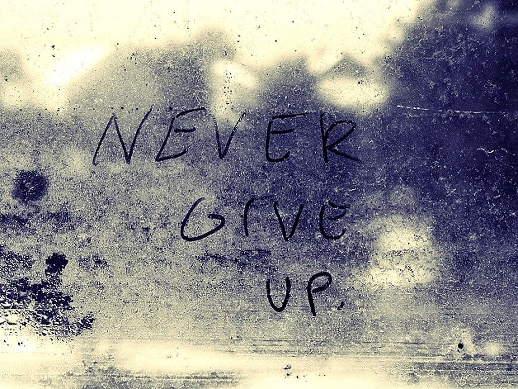 Never Give Up HD wallpaper