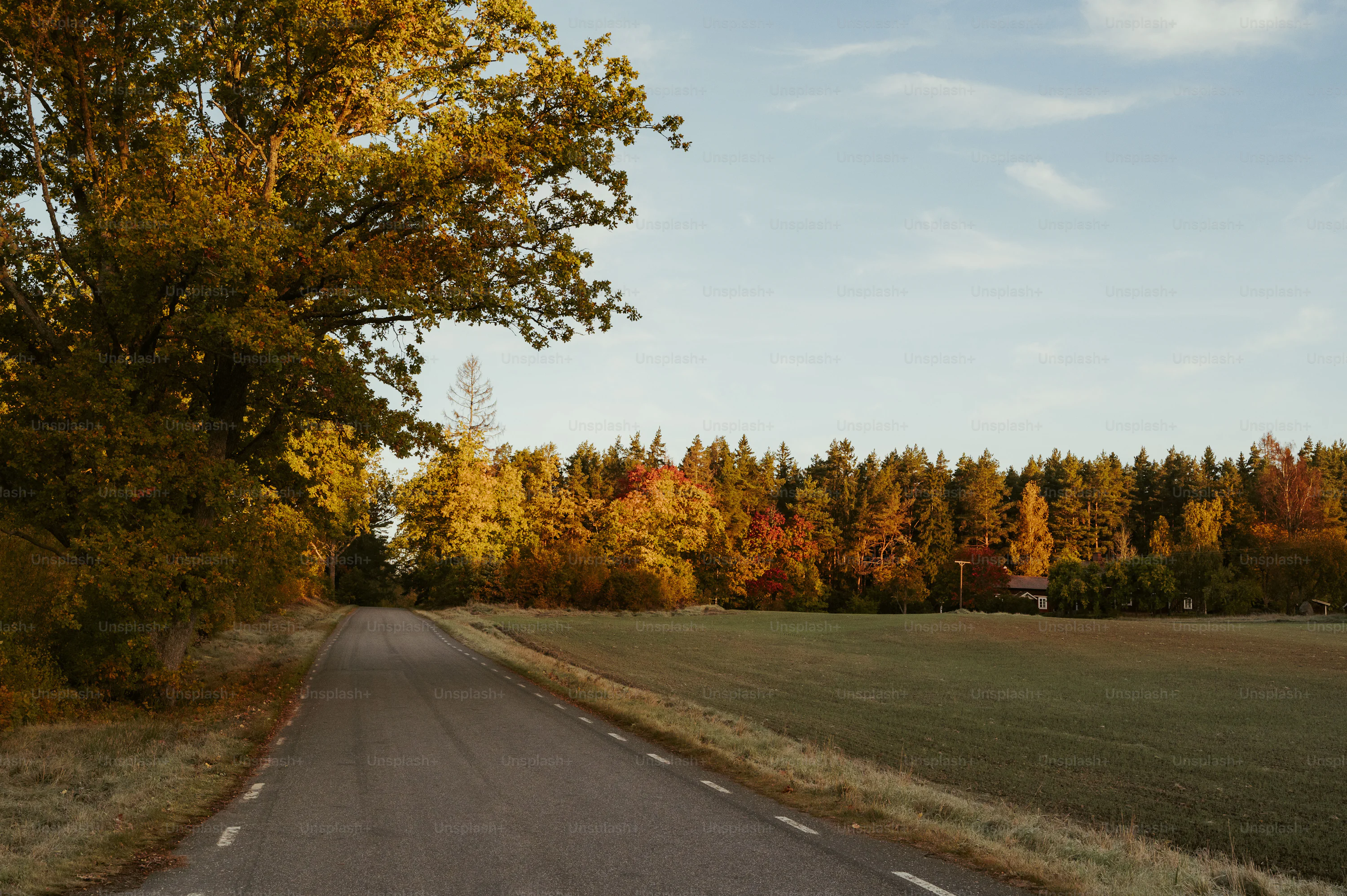 Fall Aesthetic Picture. Download Free Image
