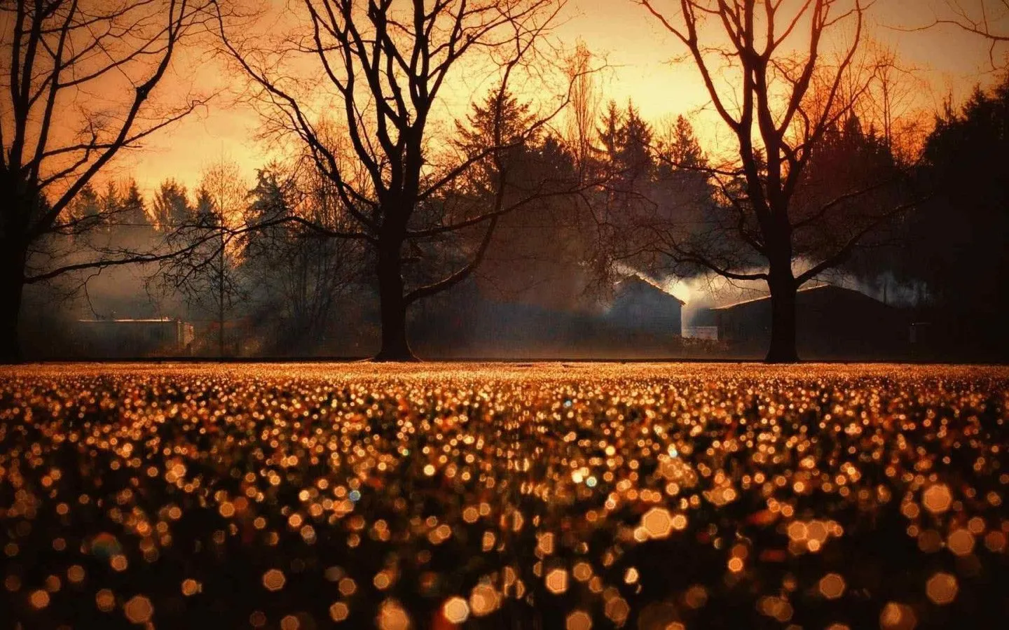 Aesthetic Fall Wallpaper 1920x1080 63654