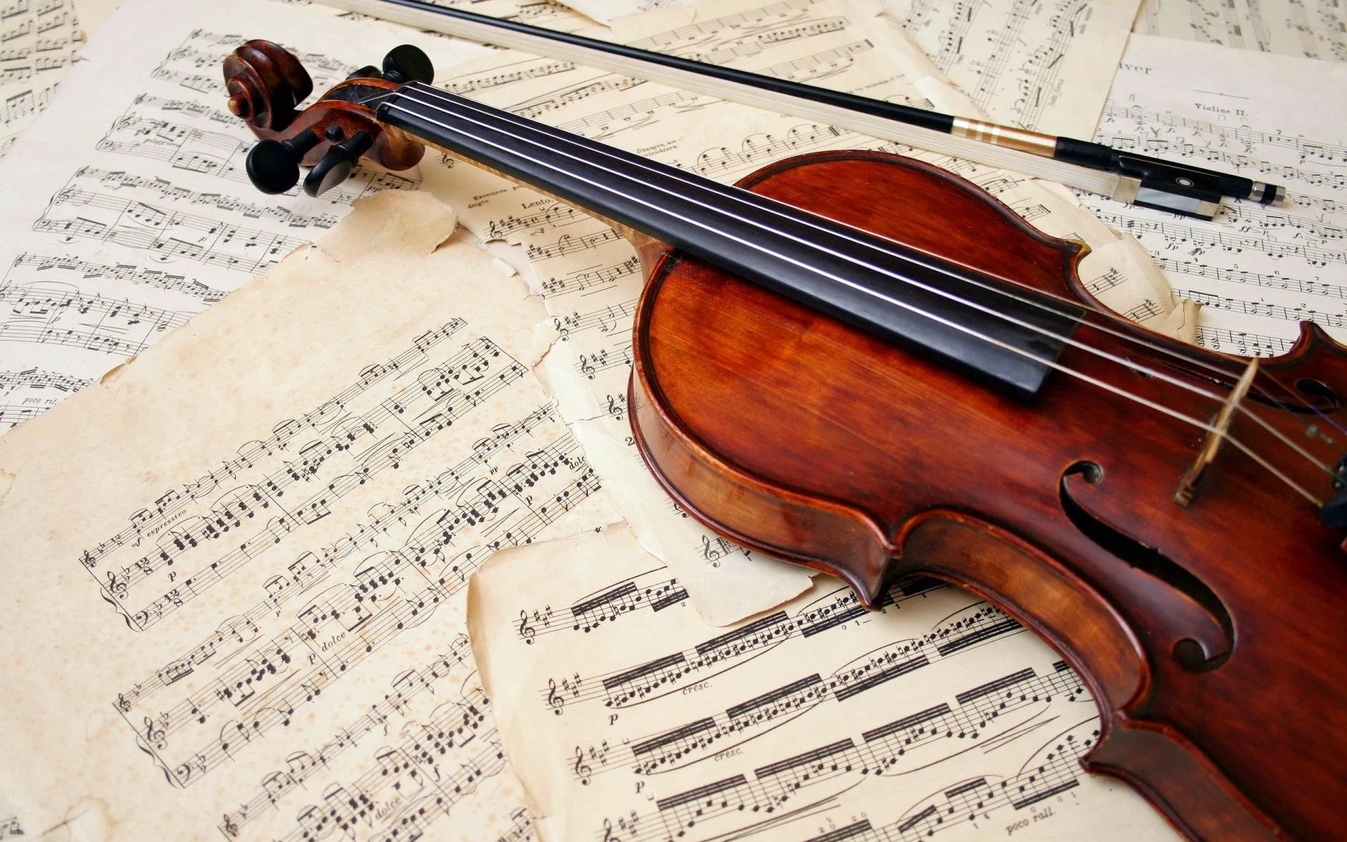 Elegant Violin Music HD Wallpaperx1600