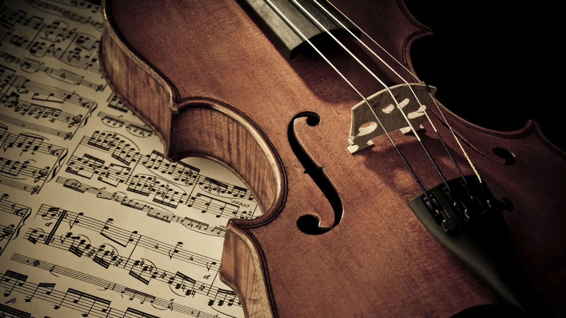violin Wallpaper HD / Desktop and Mobile Background