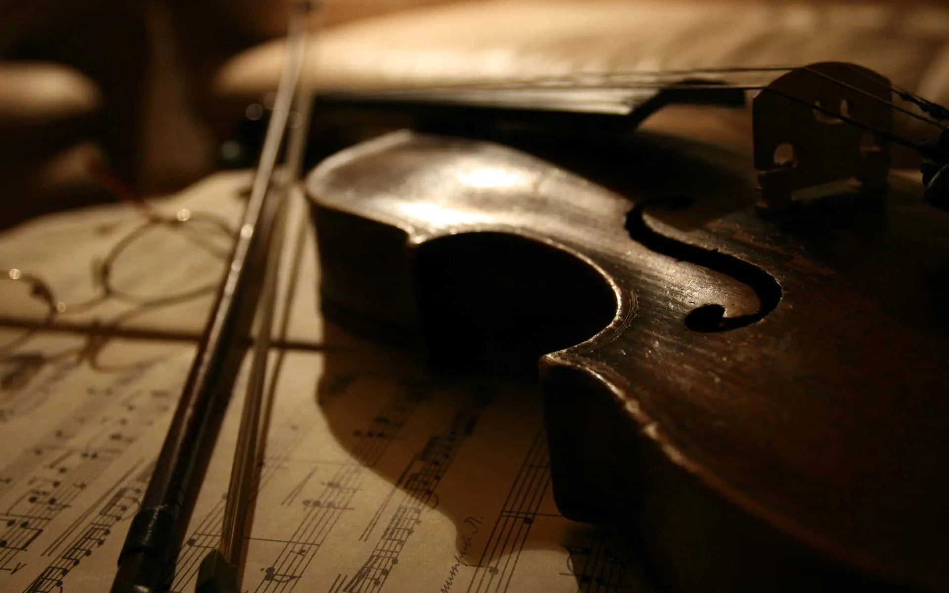 Download A Master Musician Strums a Violin Wallpaper