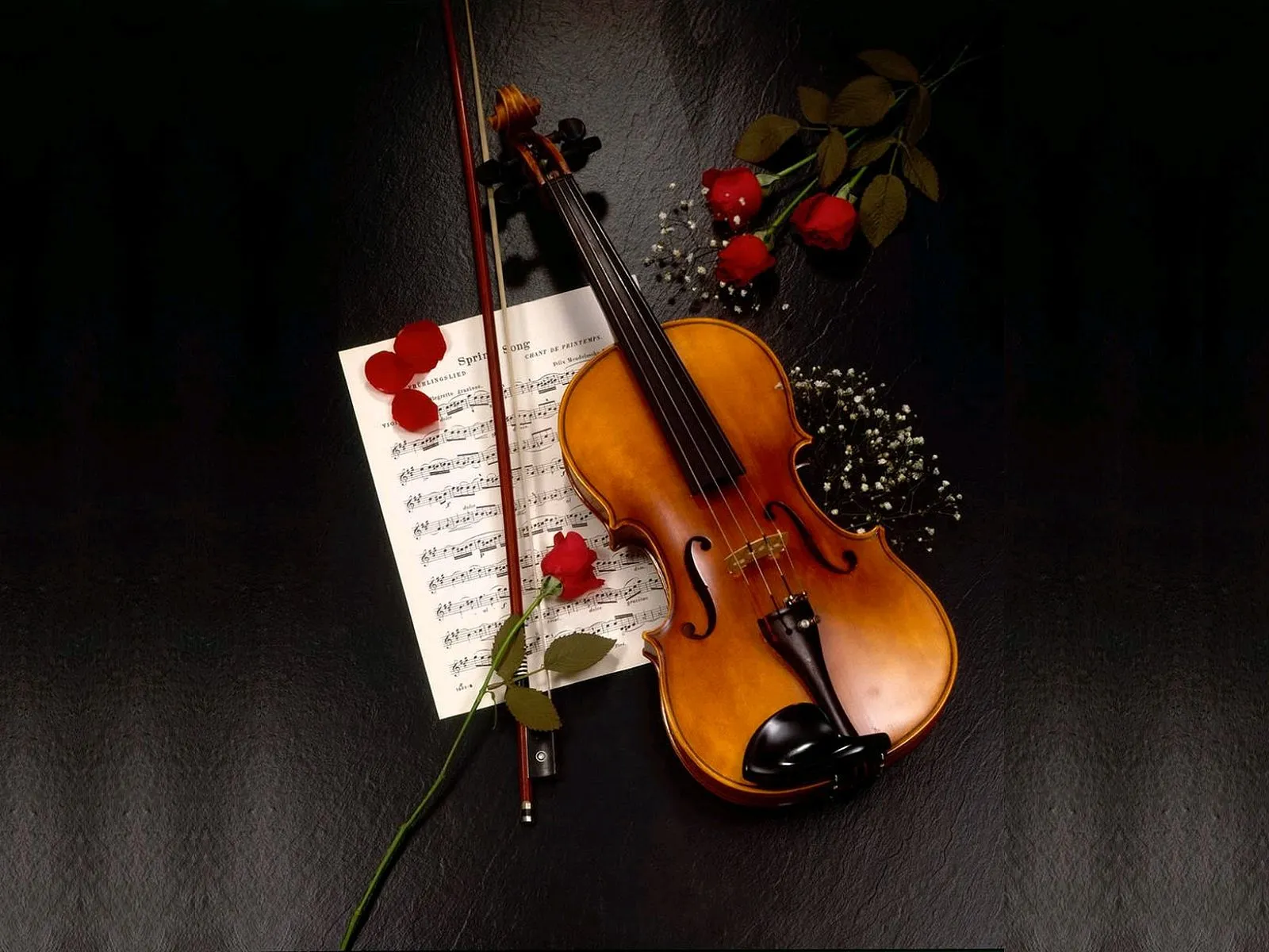 Desktop wallpaper: Violin, Music 4K free download for PC. 165359