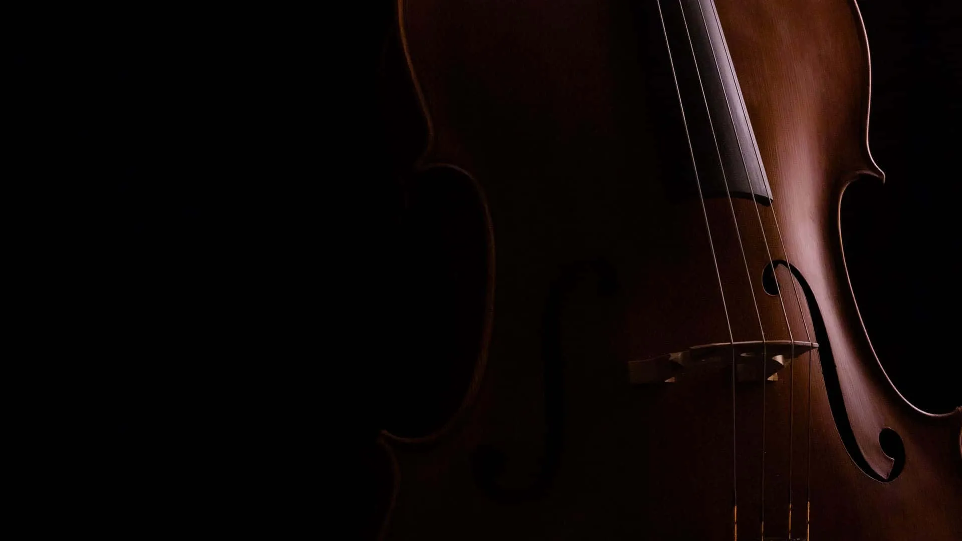 Download Violin In Dark Desktop Picture