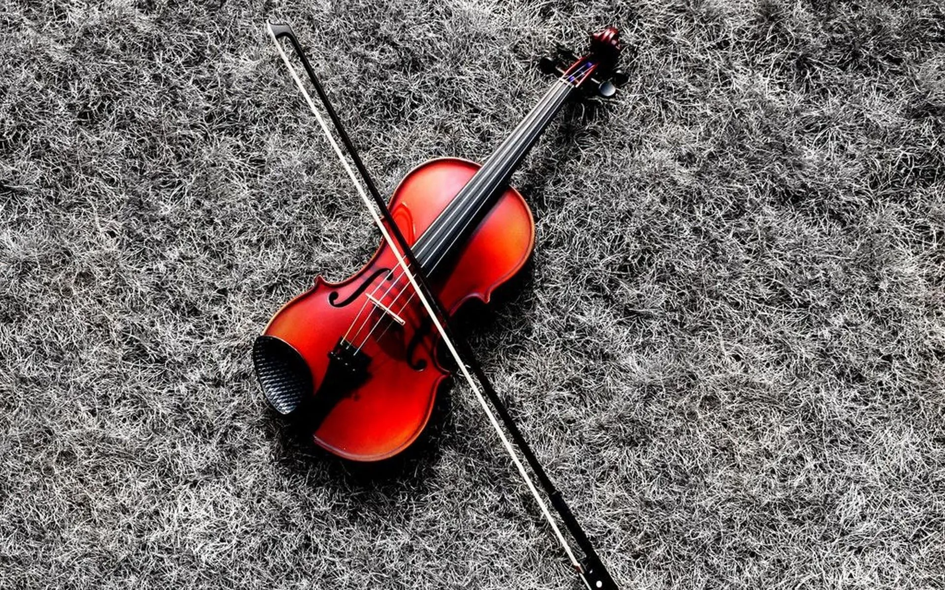 Violin Background, High Definition, High Quality, Widescreen