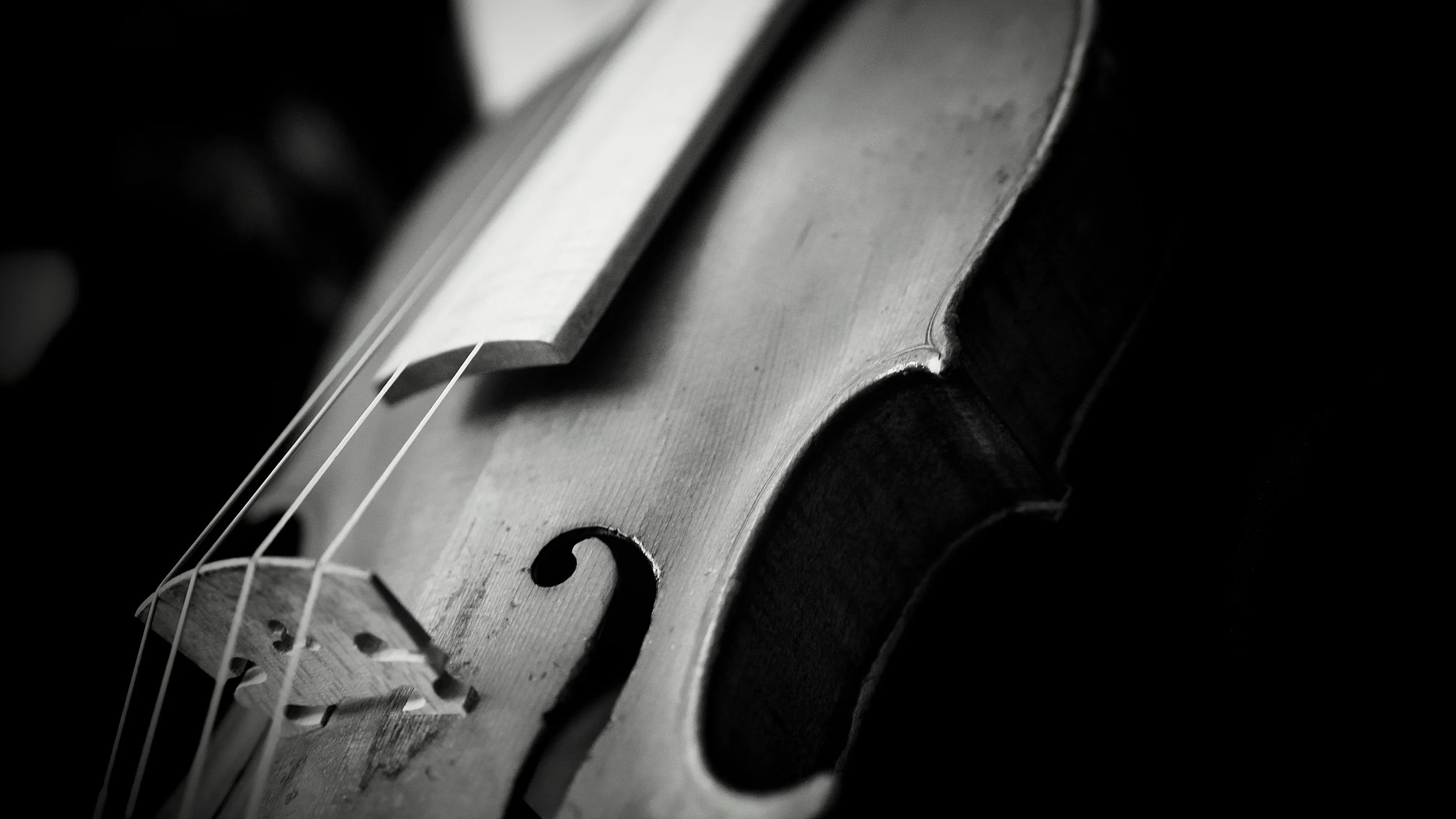Close Up Of A Vintage Violin On A Dark Background Photo