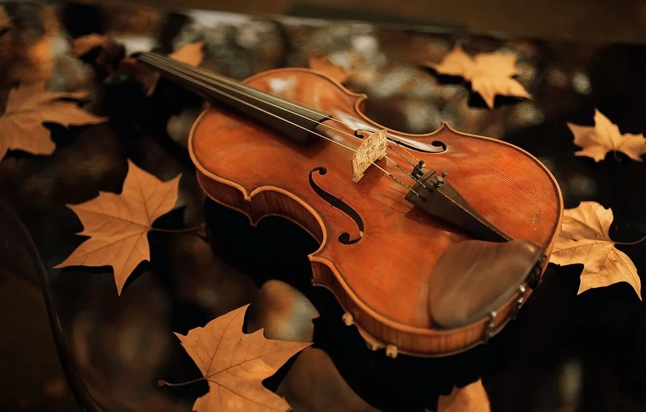 Fall Violin Wallpaper, HD Background on WallpaperBat