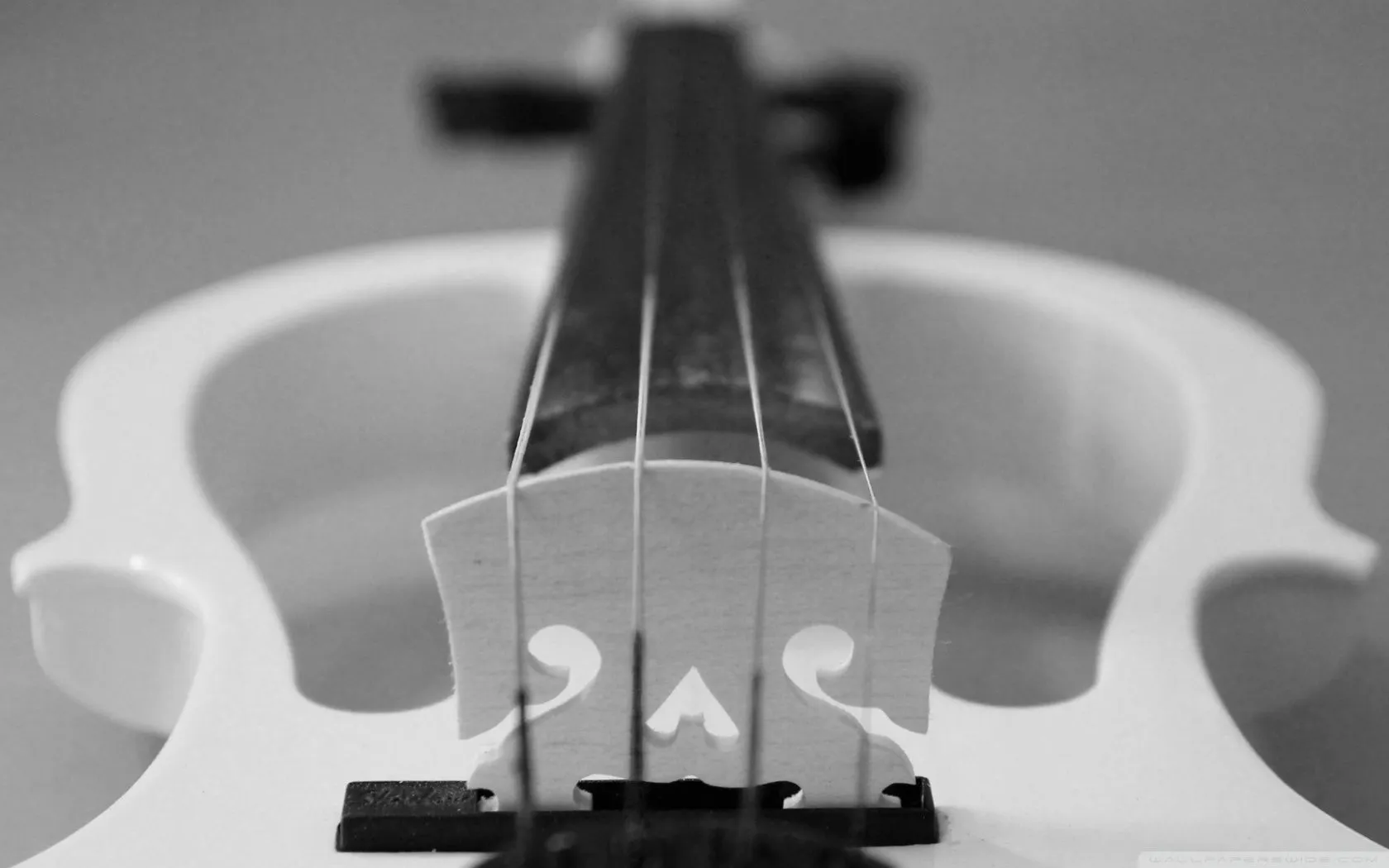 Black White Violin 4K UHD Wallpaper for UltraHD Desktop and TV, Widescreen and UltraWide Display, Smartphone and Tablet Devices