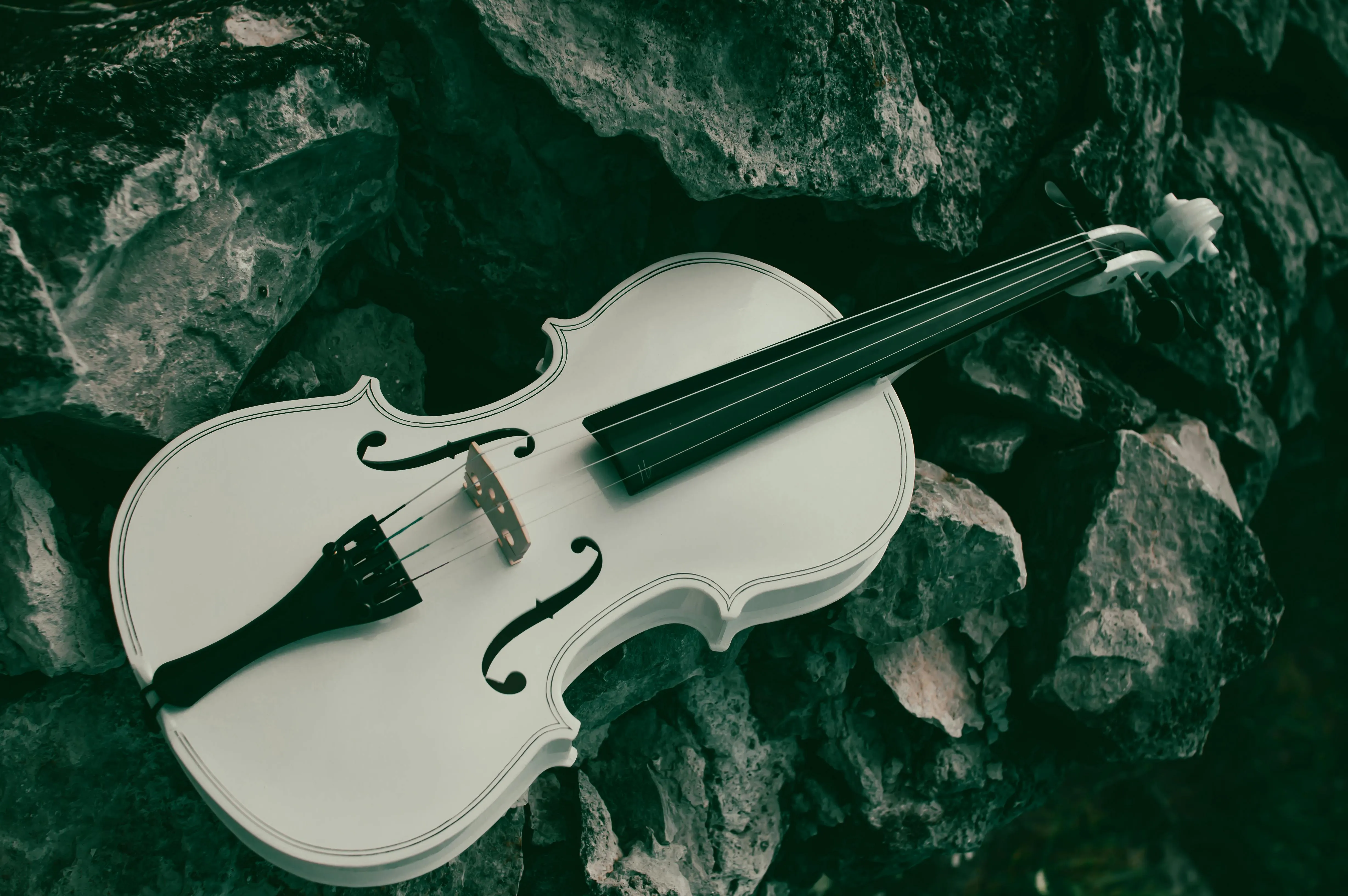 Violin in Black and White · Free