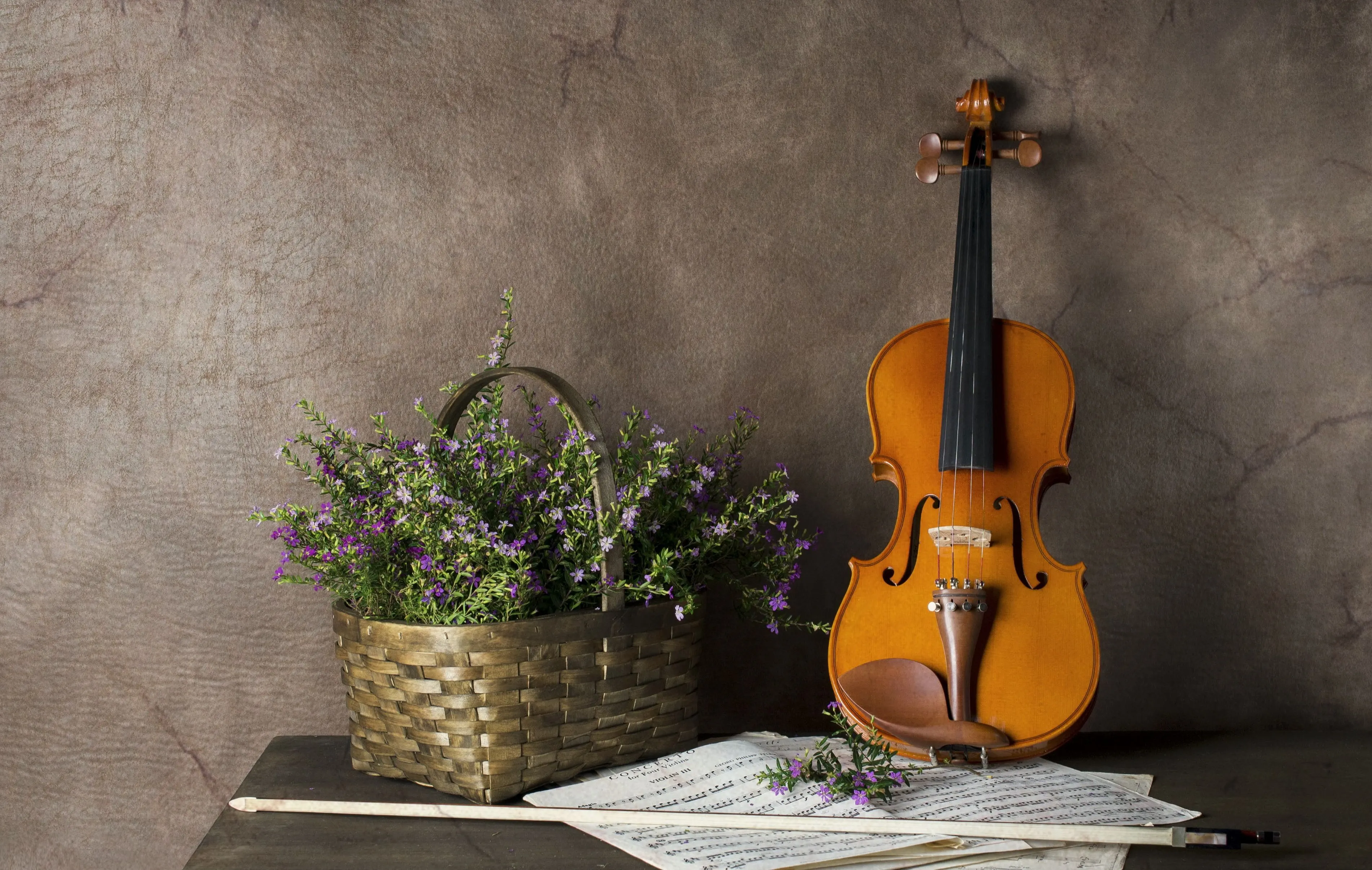 Wallpaper Violin, String Instrument, Violin Family, Musical Instrument, Violone, Background Free Image