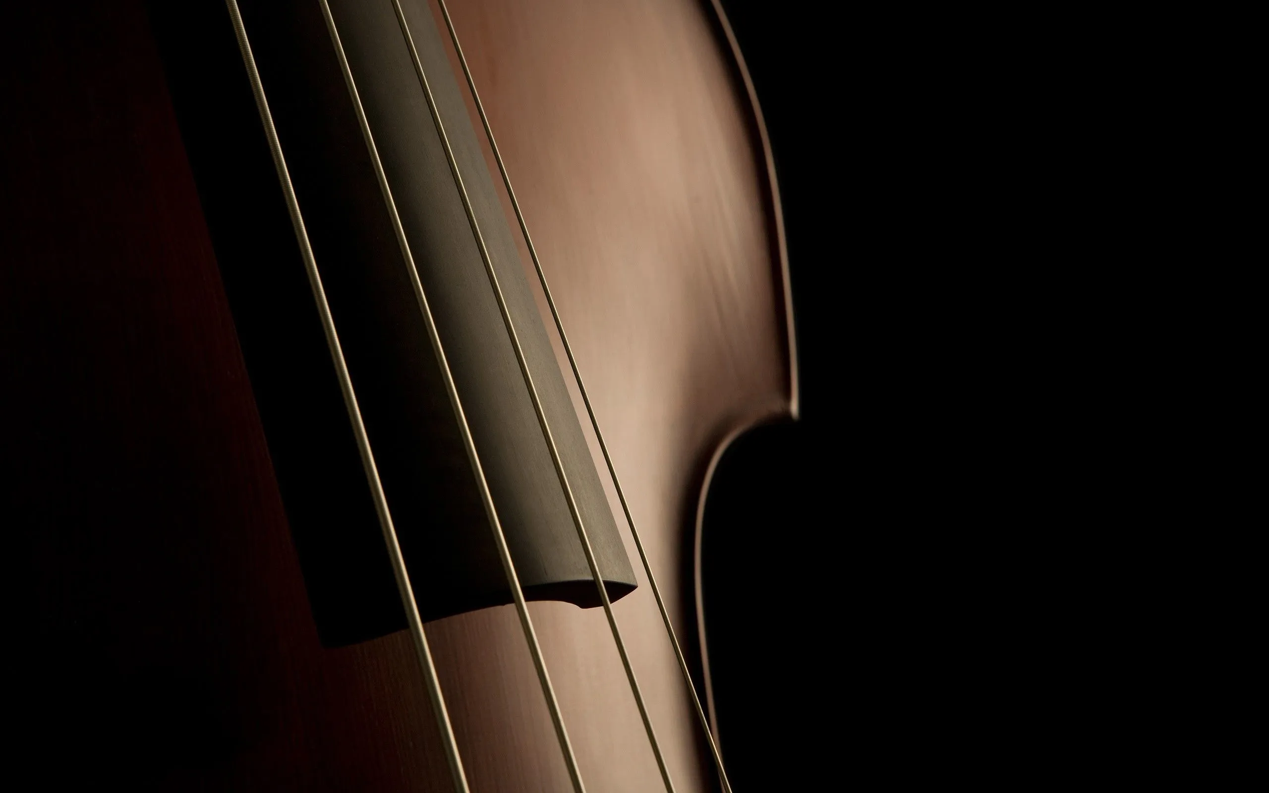 violins, Cello Wallpaper HD / Desktop and Mobile Background