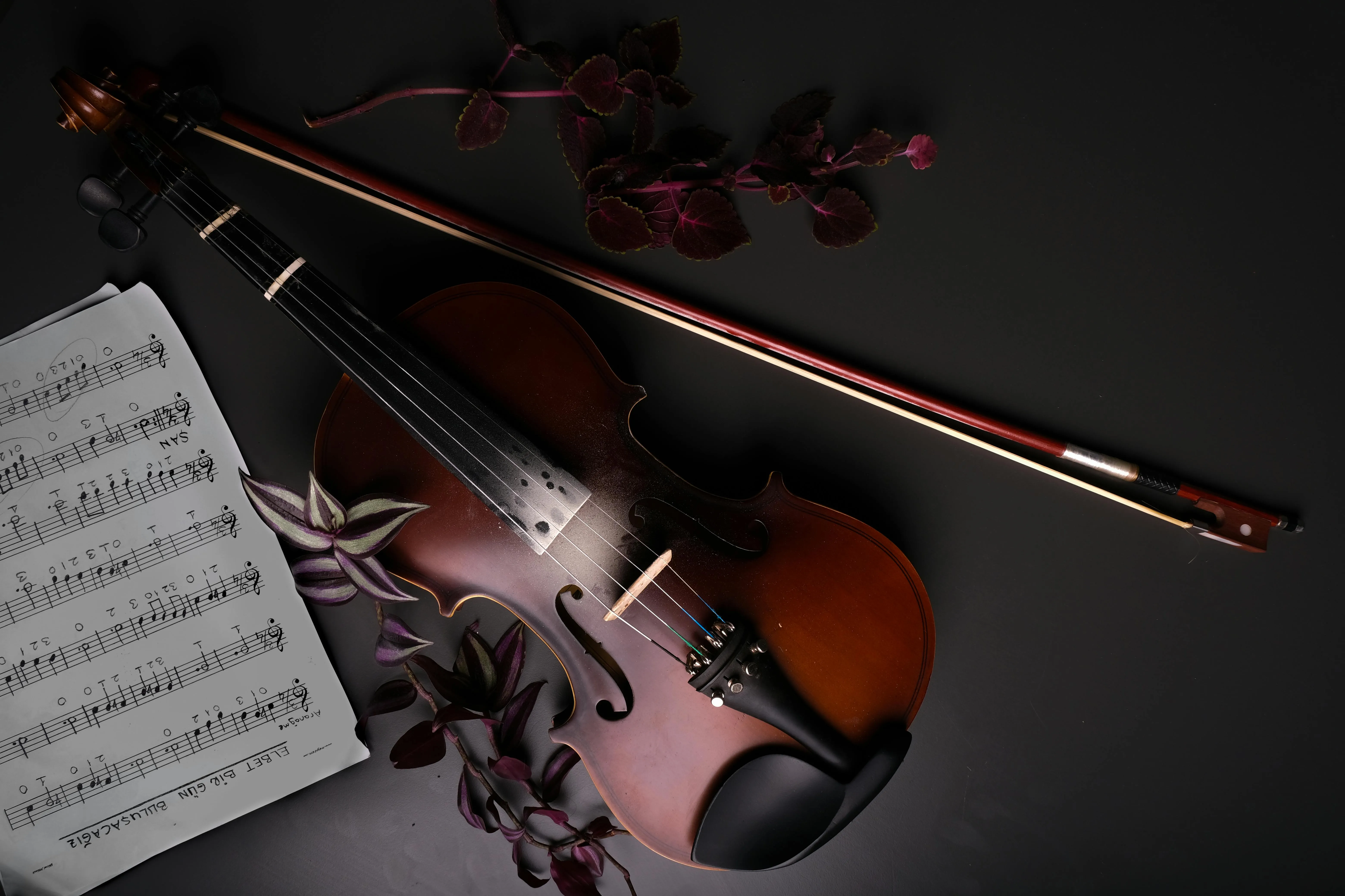 Bouquet of Roses Wrapped in Kraft Paper Lying Next to a Violin and a Book on the Carpet · Free