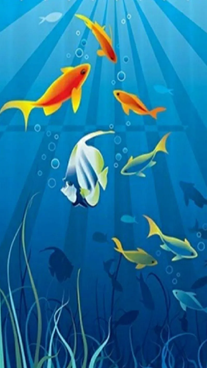 Explorer, animals, aquarium, fish, ocean, pets, sea life, underwater, water, HD phone wallpaper