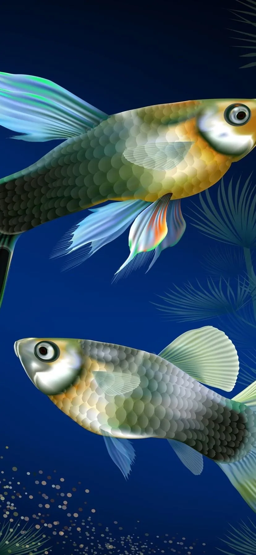 Aquarium Fish At Underwater, Water Grass, Creative Design 1080x1920 IPhone 8 7 6 6S Plus Wallpaper, Background, Picture, Image