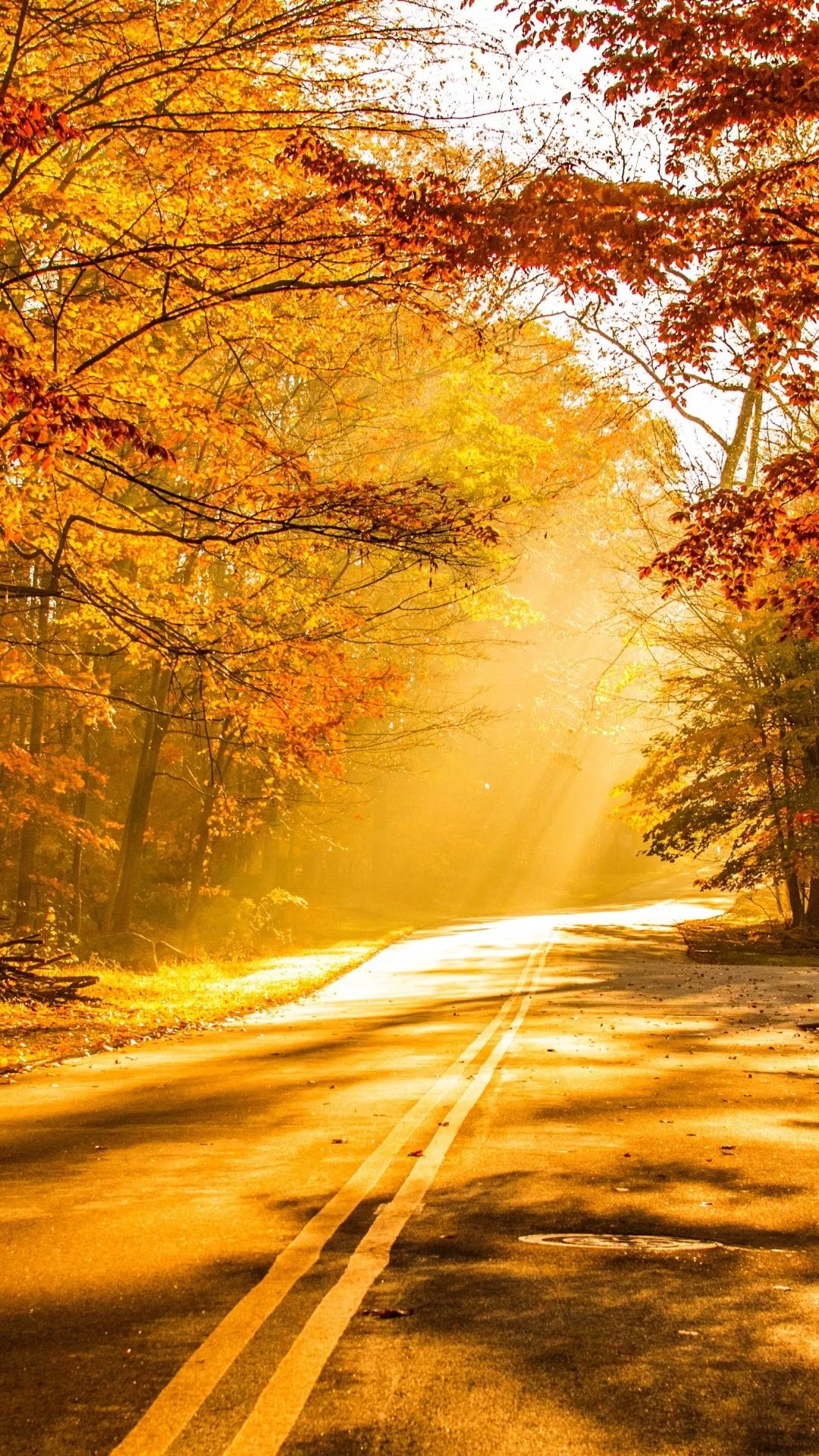 Phone wallpaper: Man Made, Road, Sunshine, Fall, Sunbeam, Sunbean 1374709